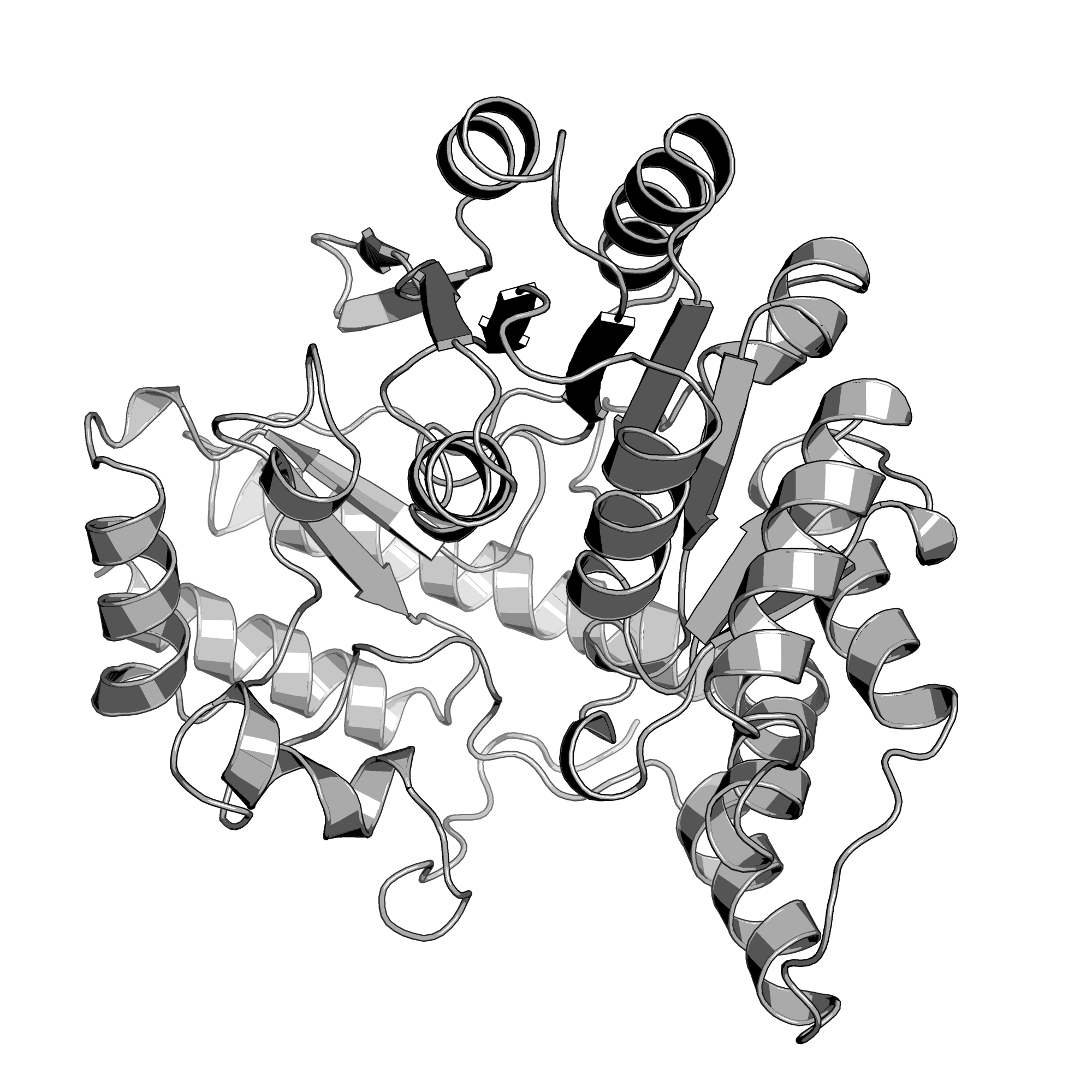 4DGT structure
