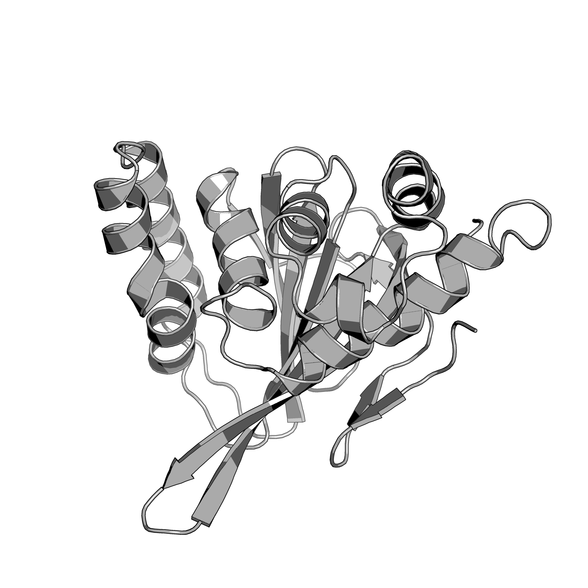 4DOI structure