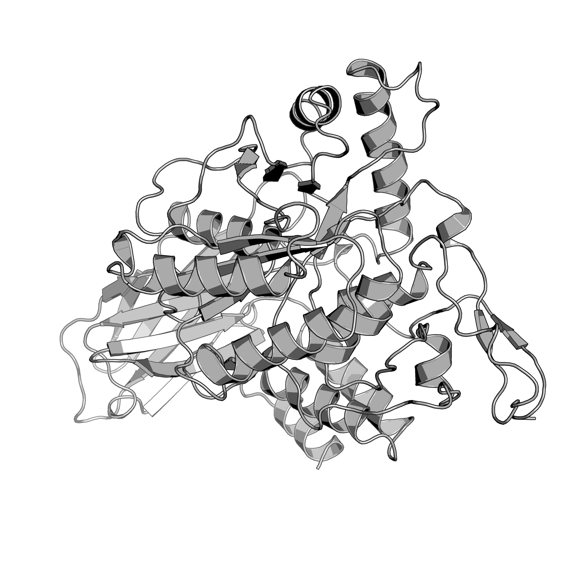 4DWE structure