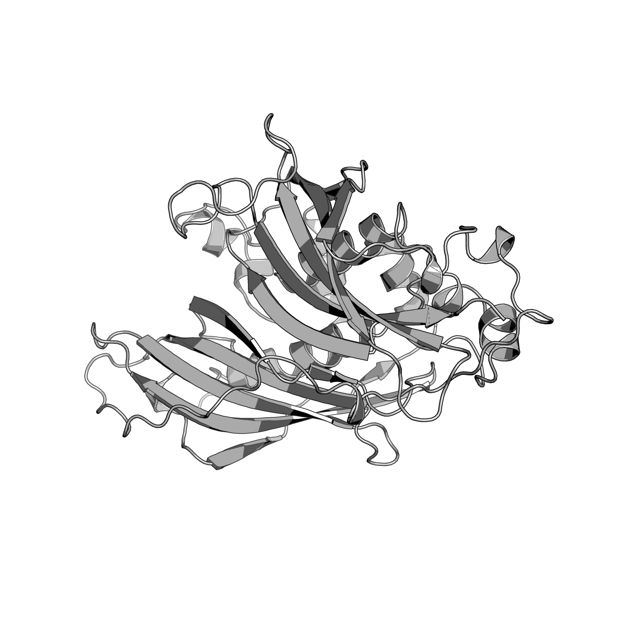 4E3E structure
