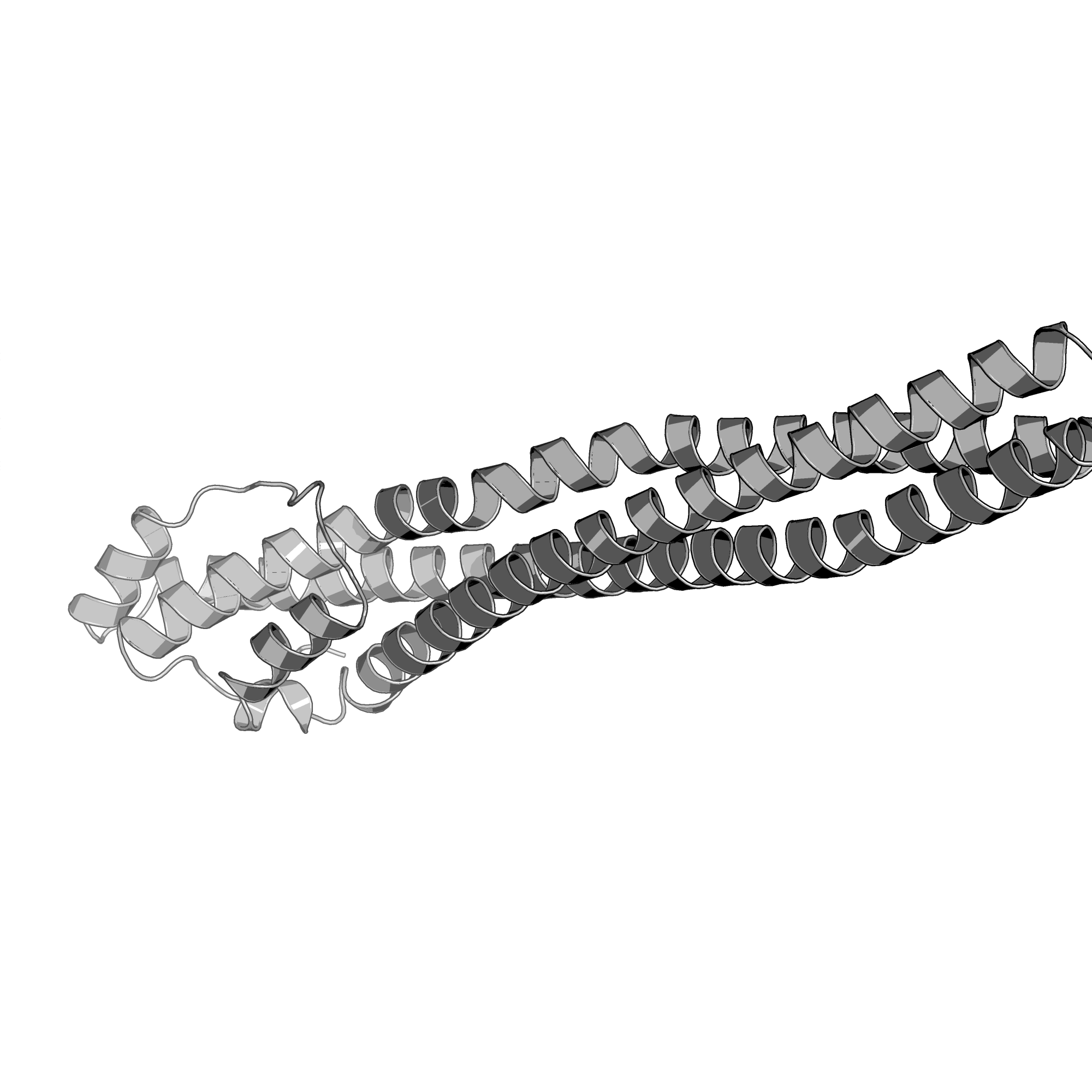4E40 structure