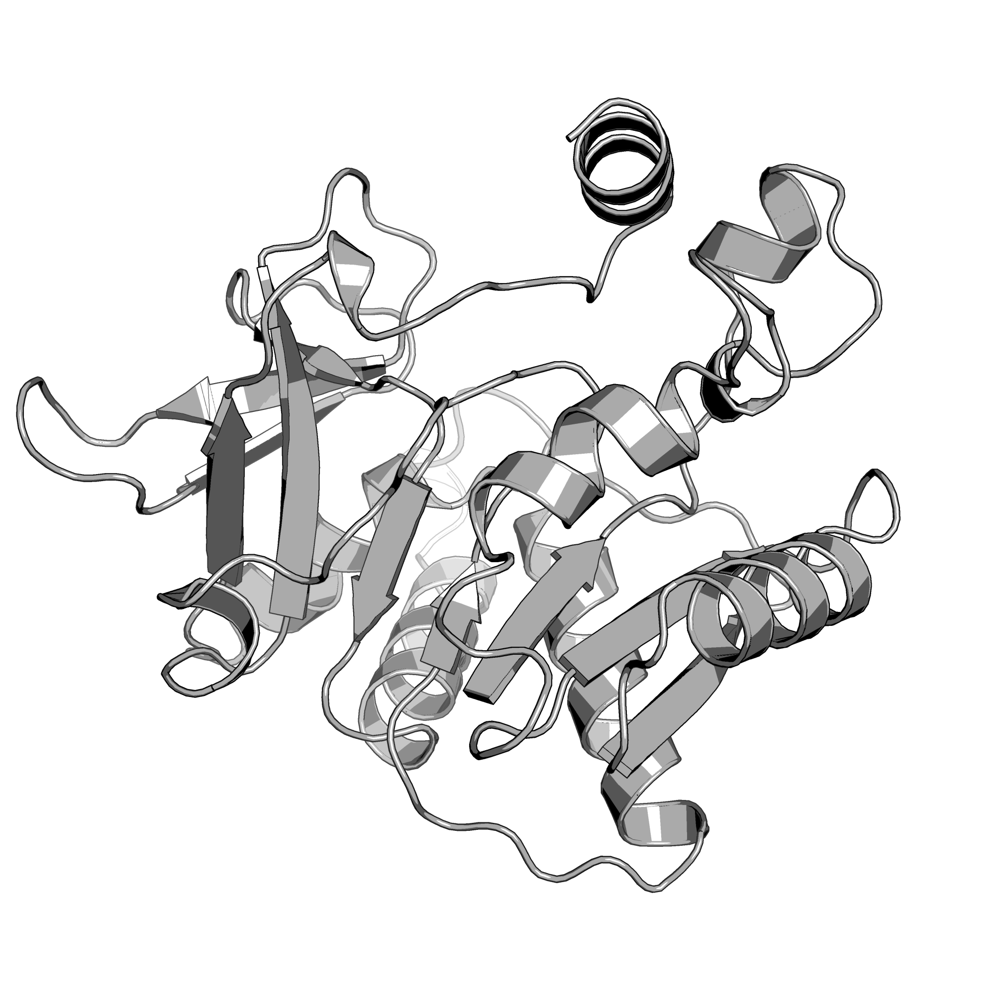 4EVW structure