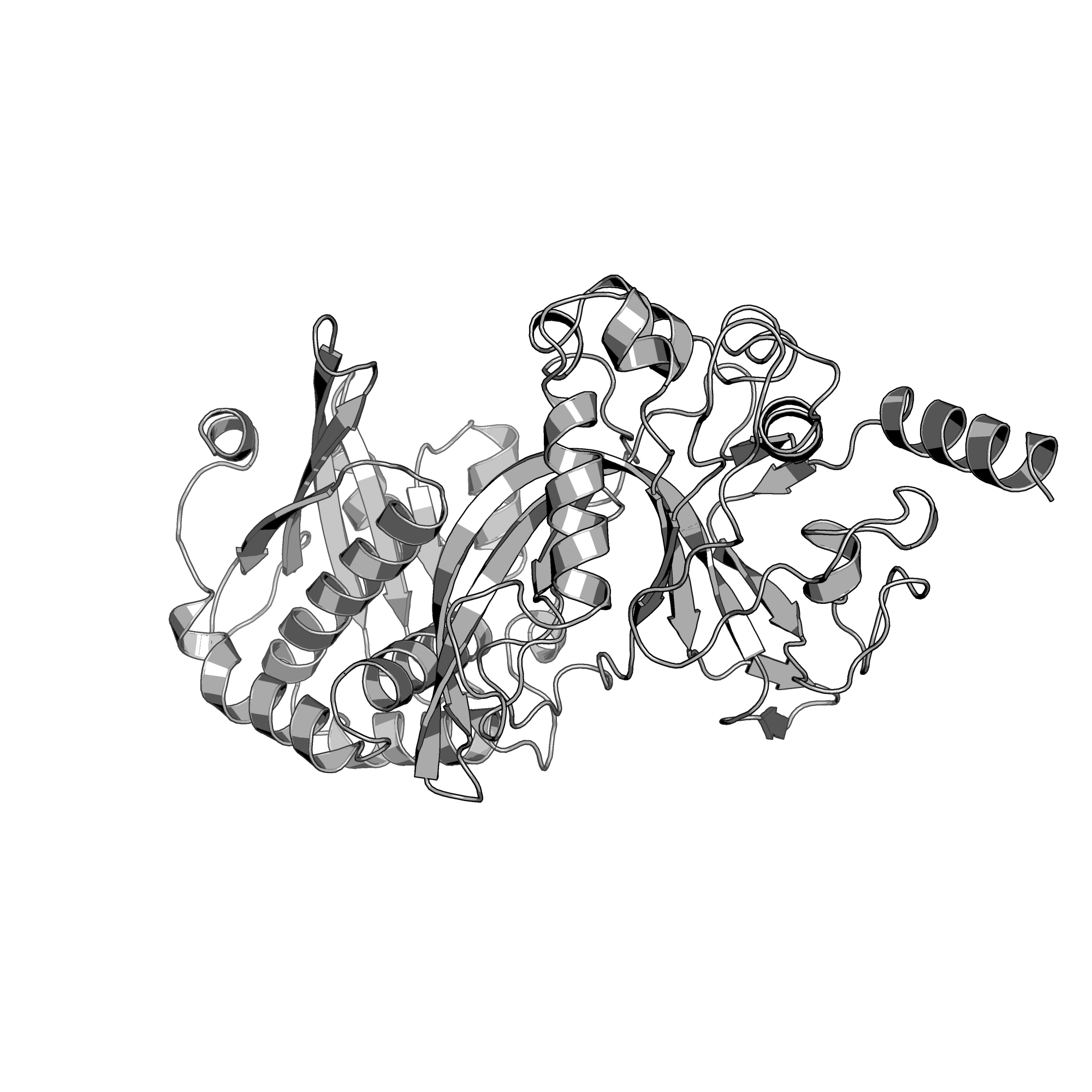 4F0Q structure