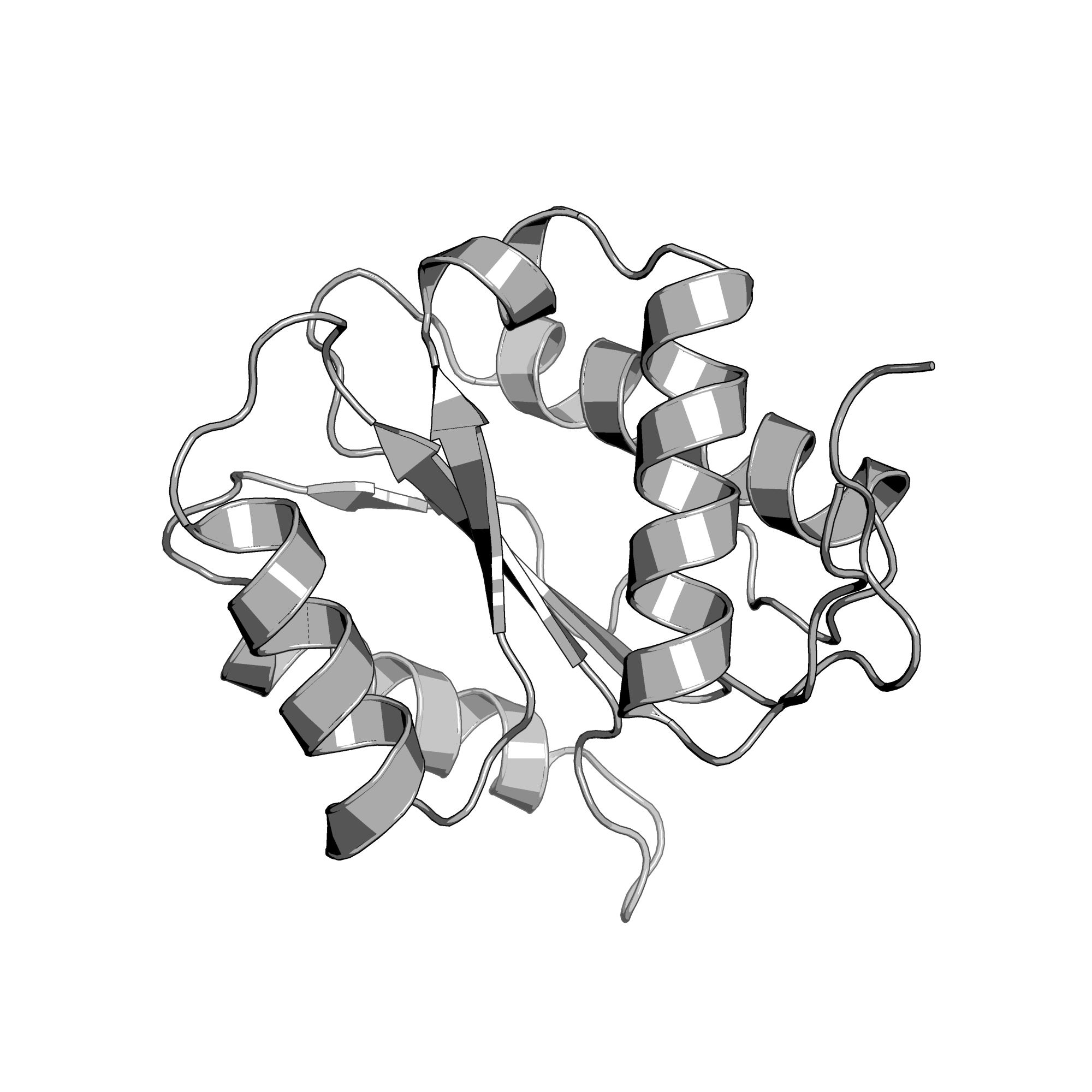 4G0X structure