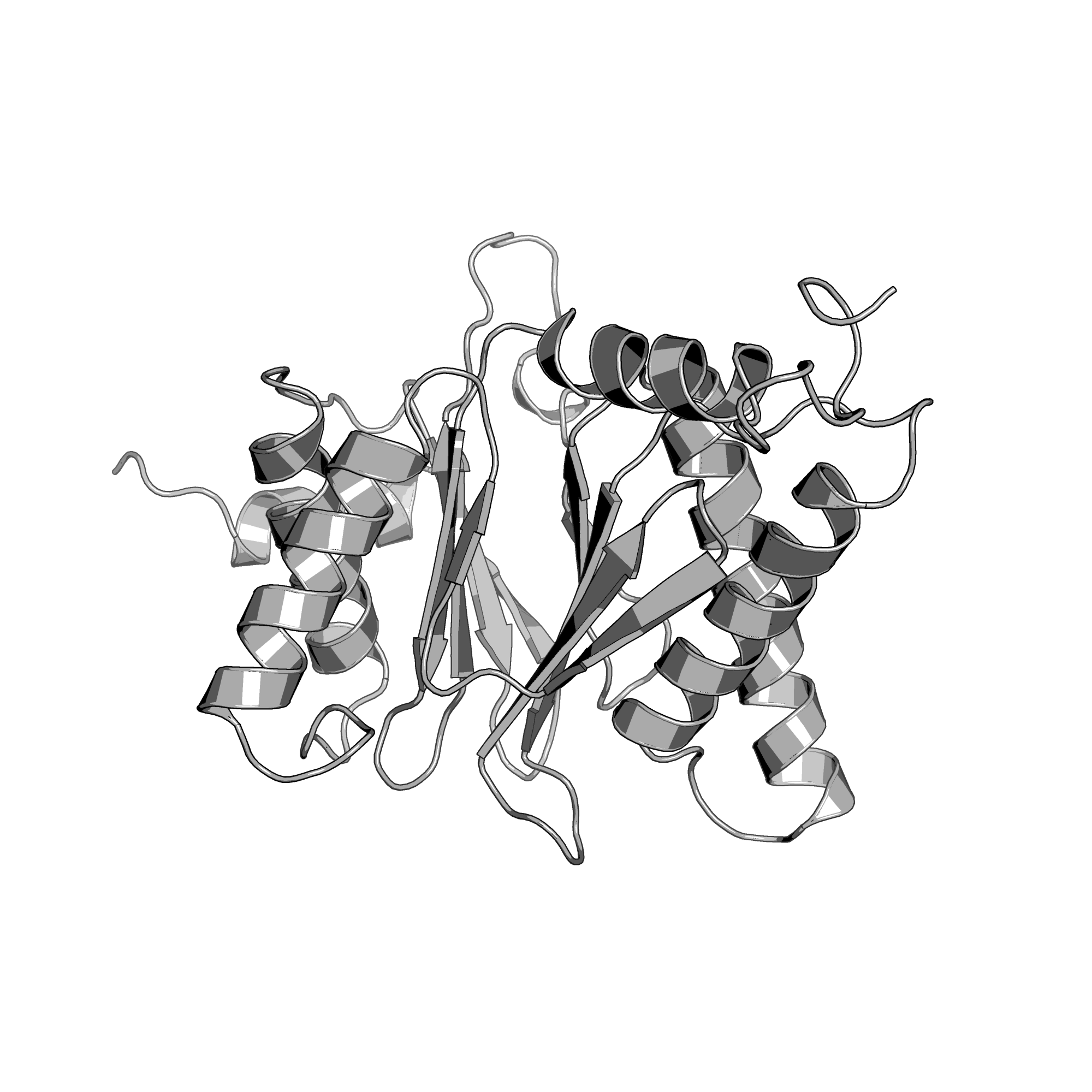 4G4S structure