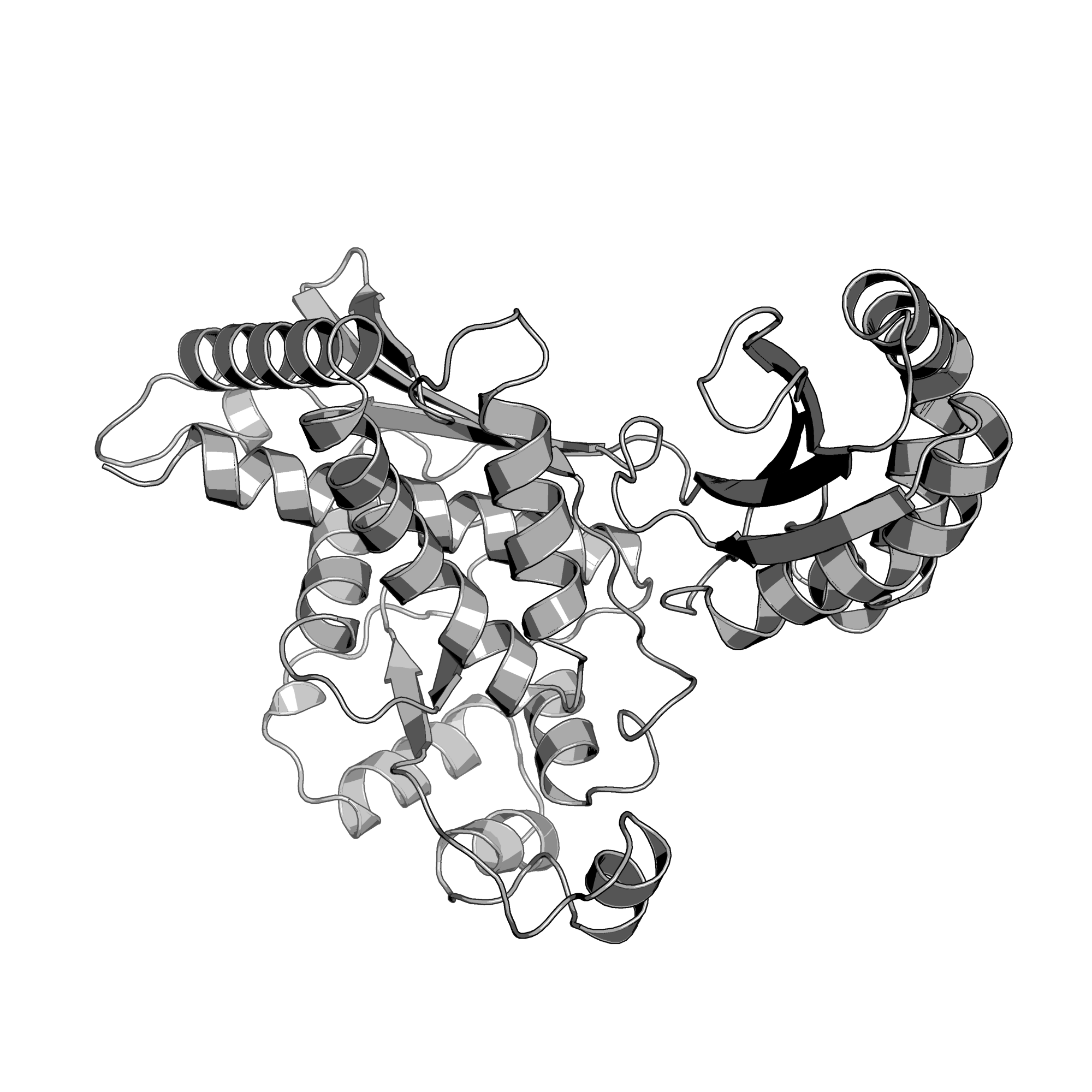 4I6Y structure