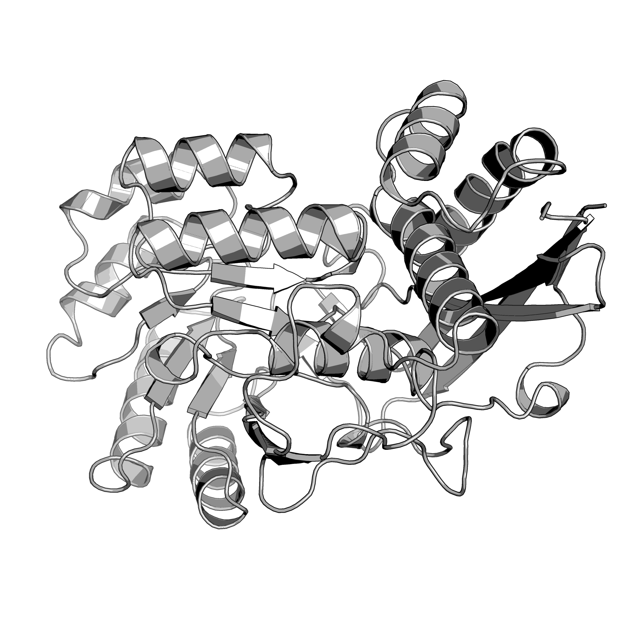 4J1O structure