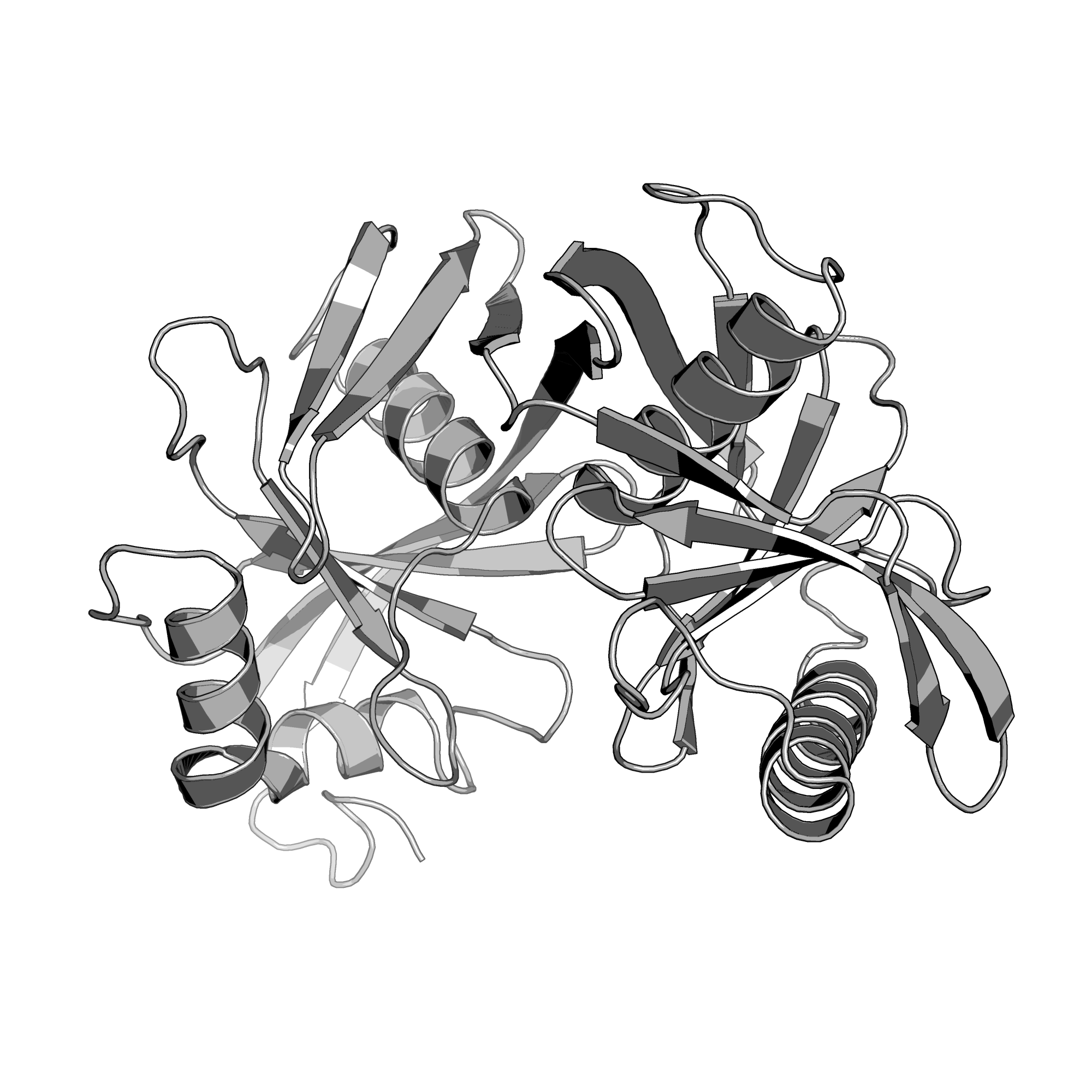 4JBD structure