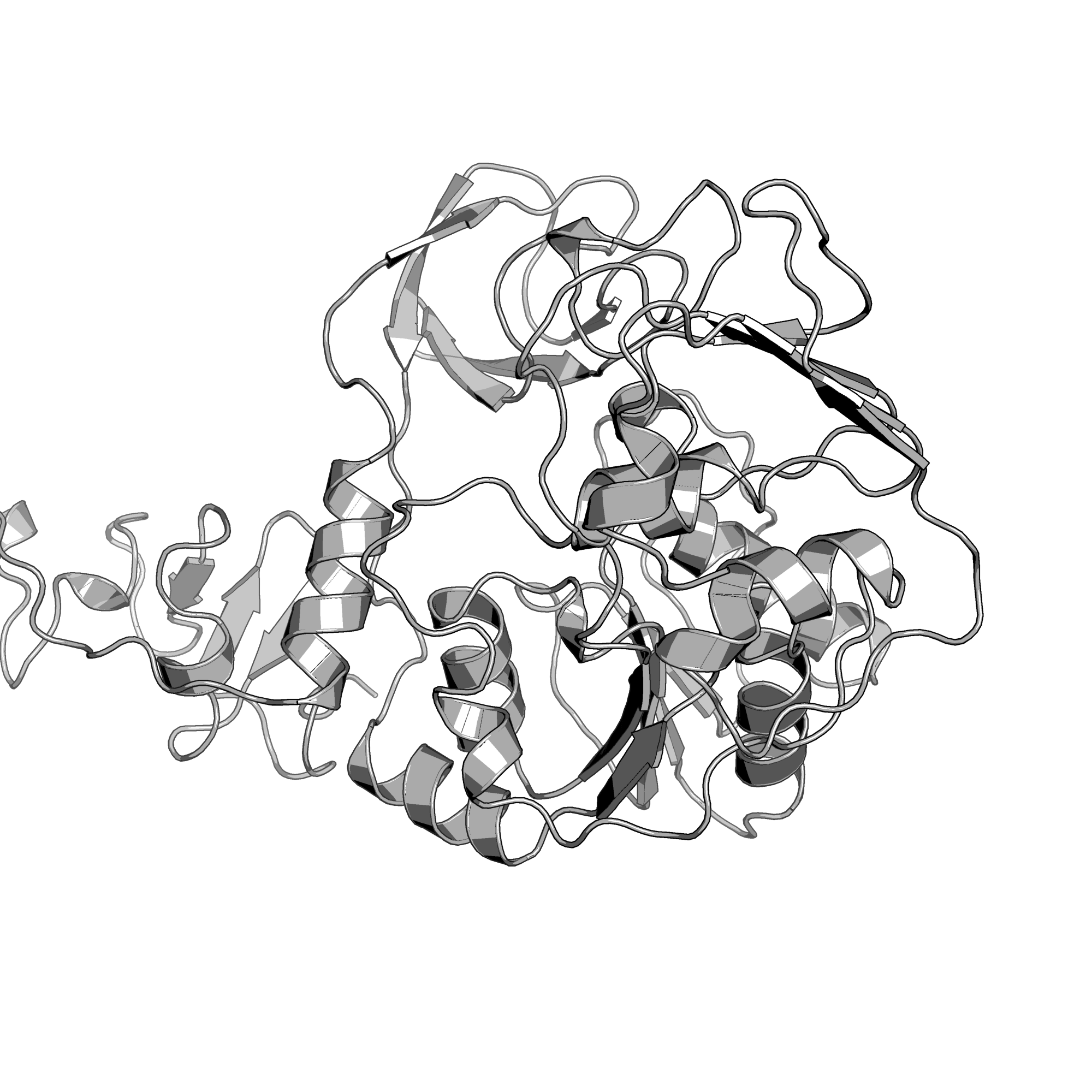 4N0N structure