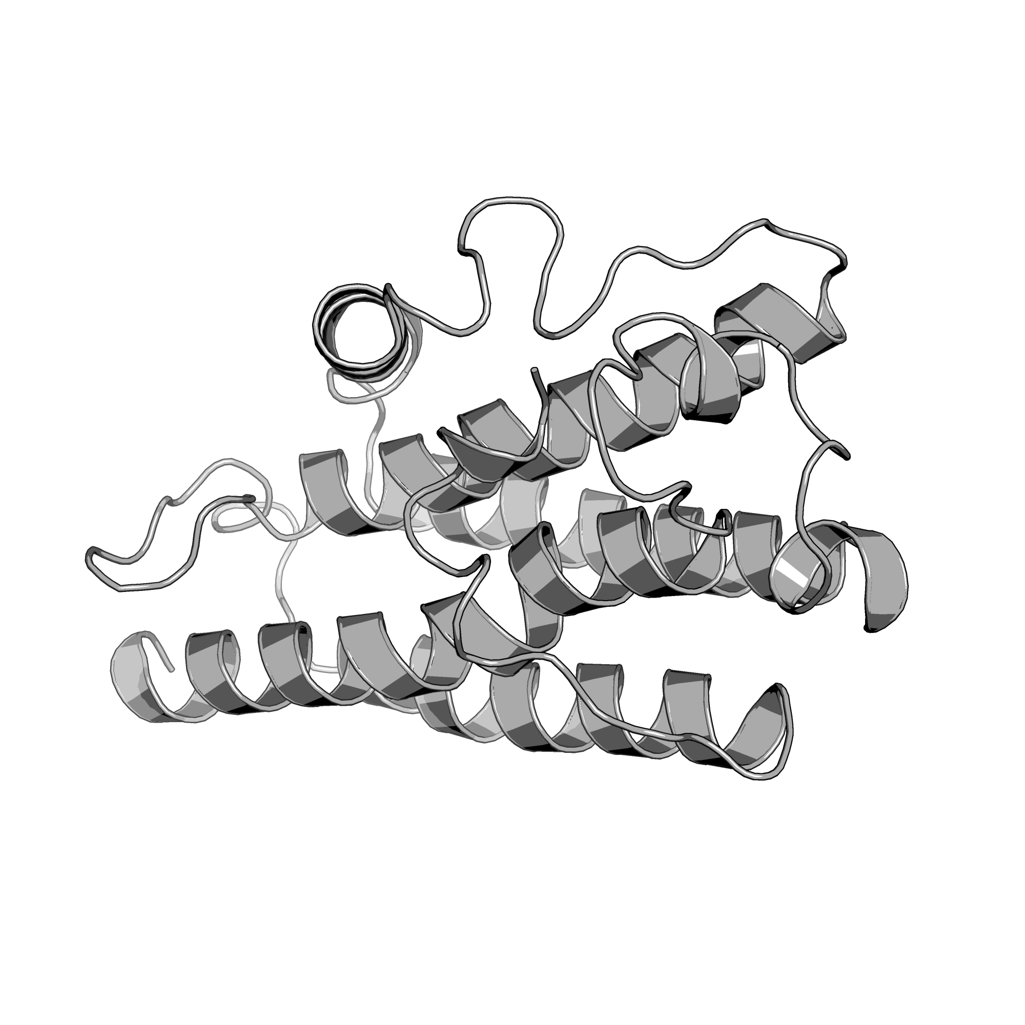4N6C structure