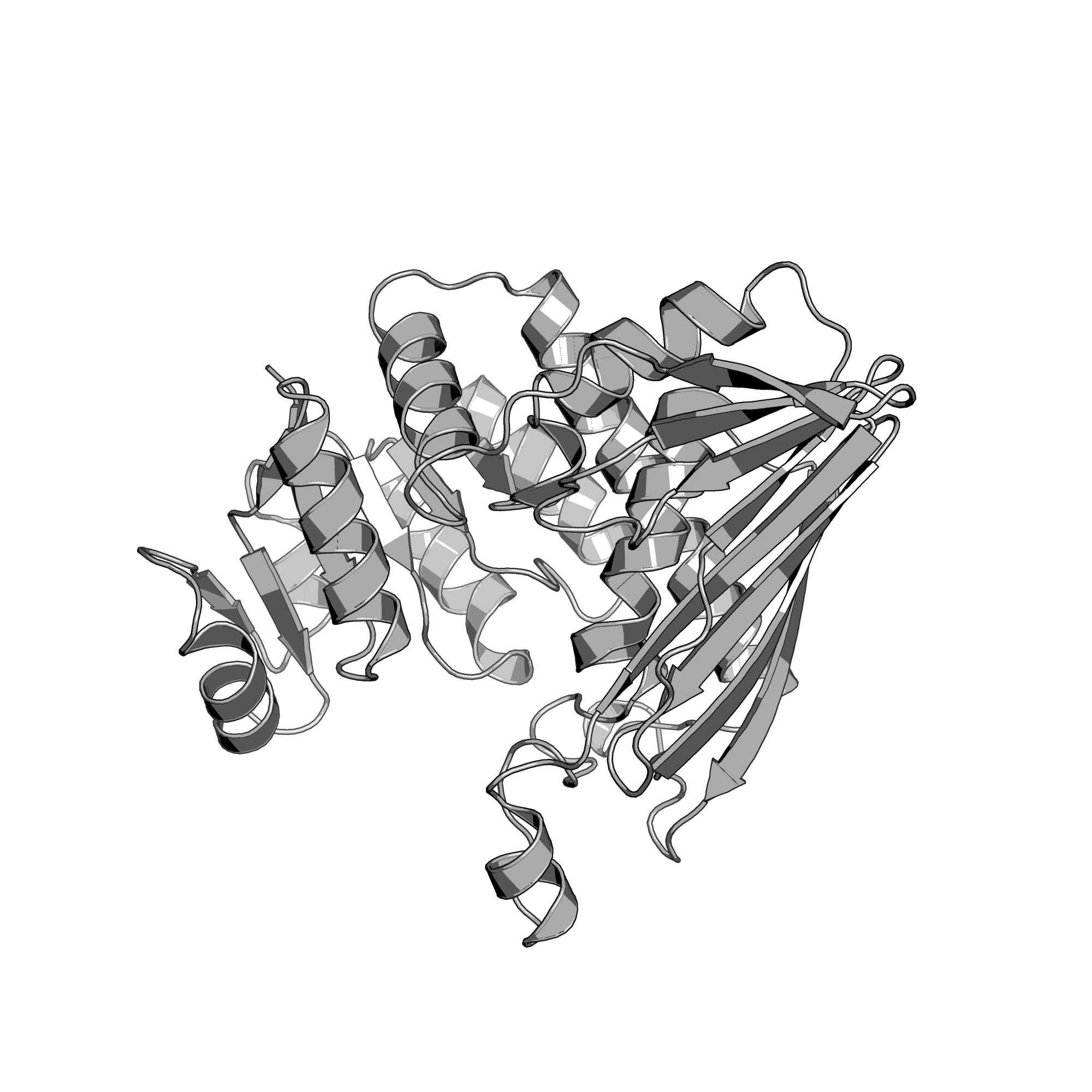 4NHE structure