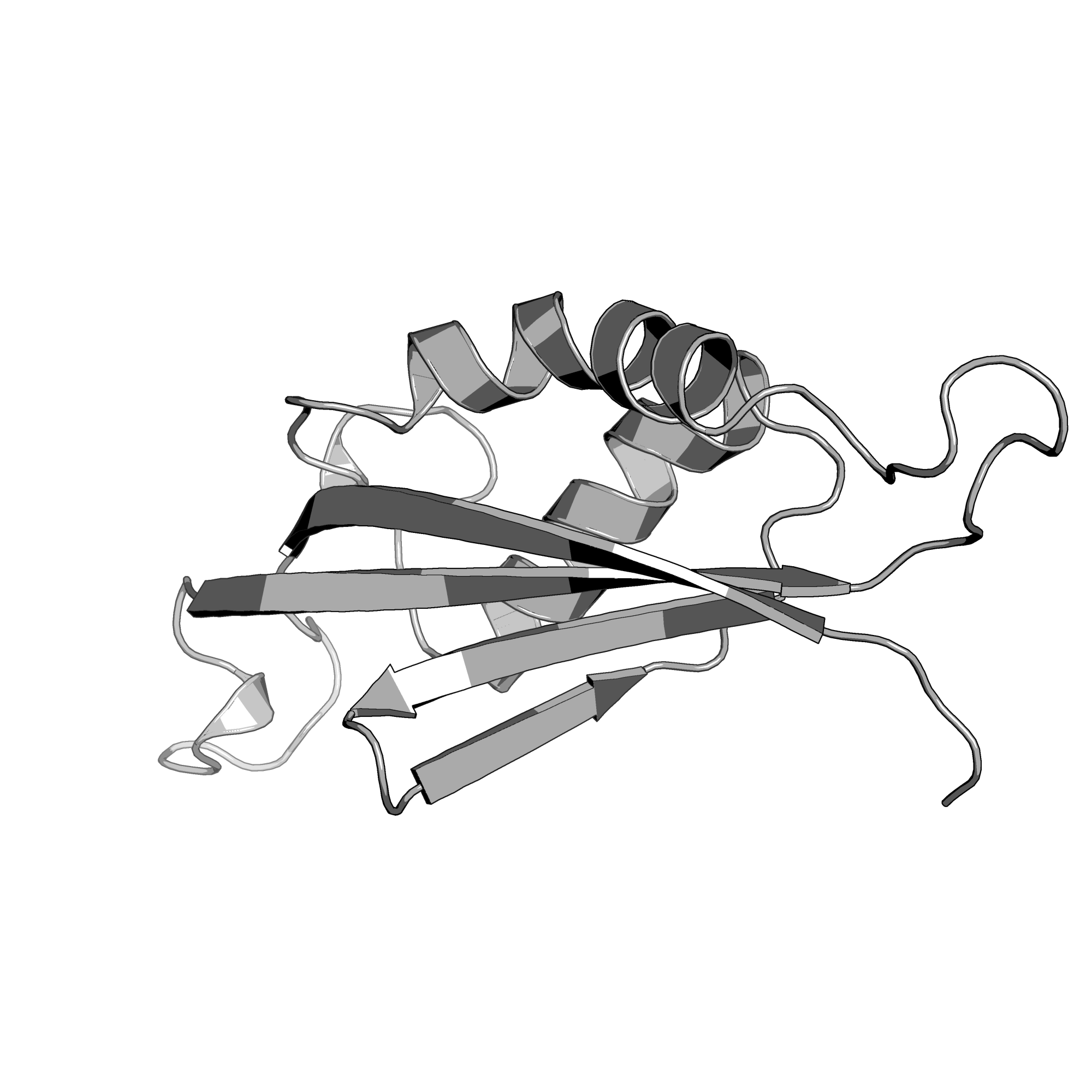 4NTK structure