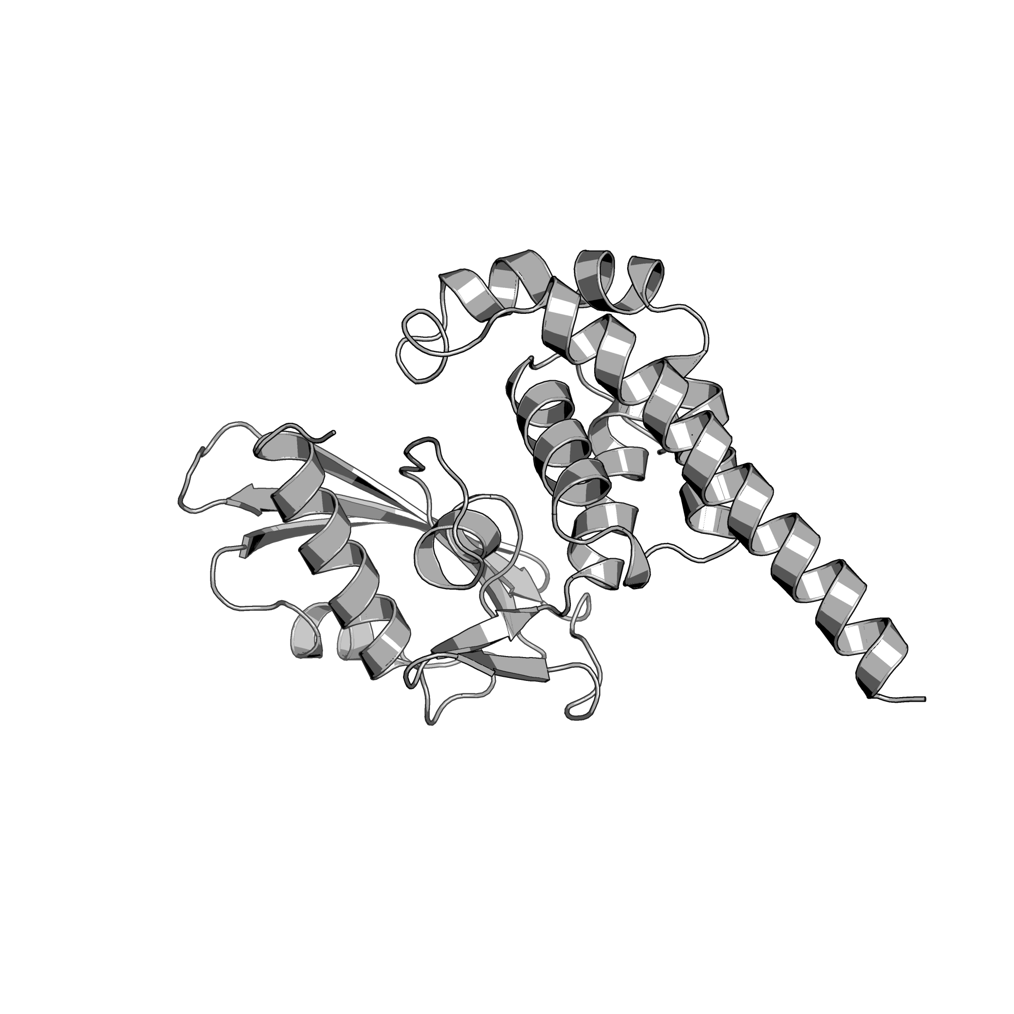 4O8S structure