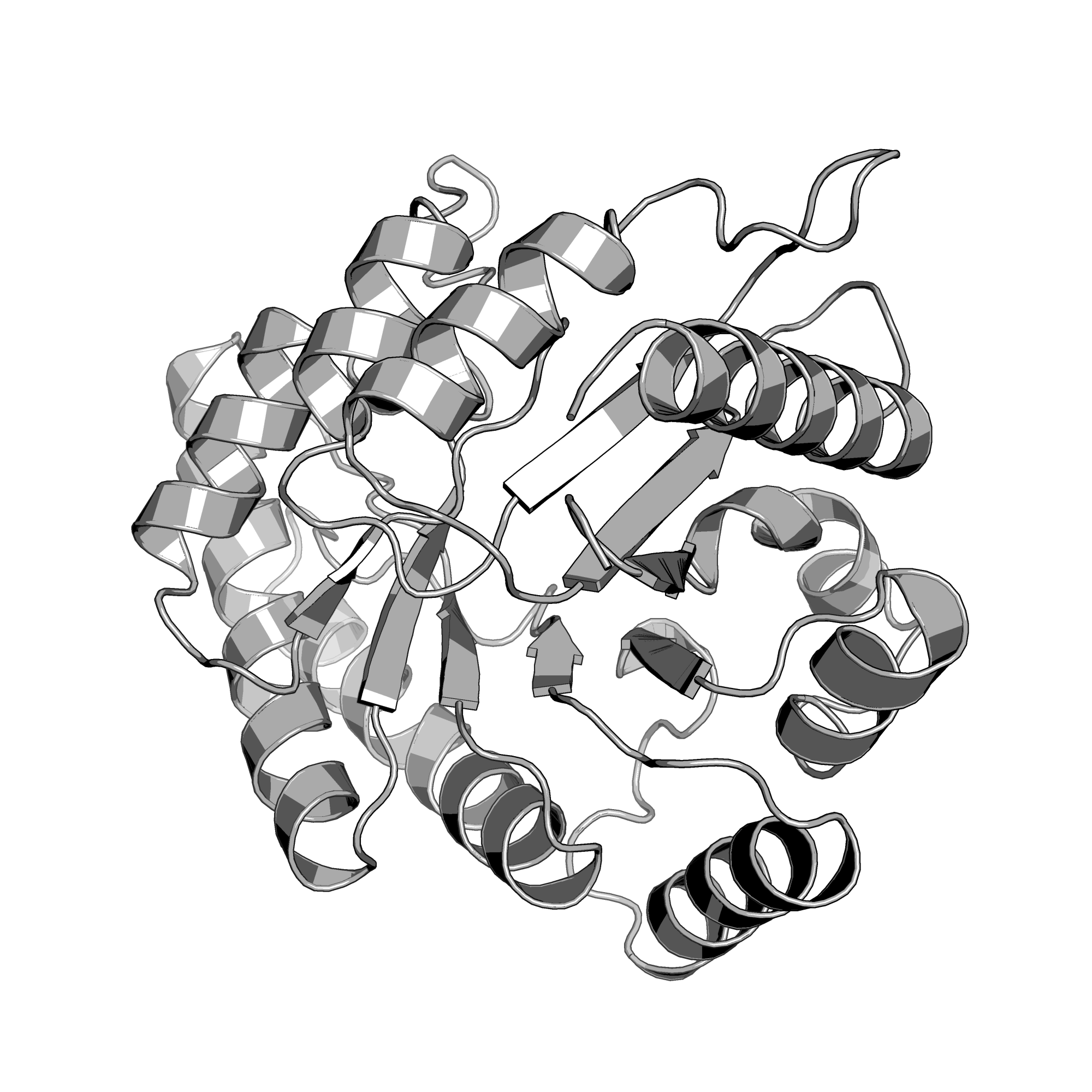 4OVX structure