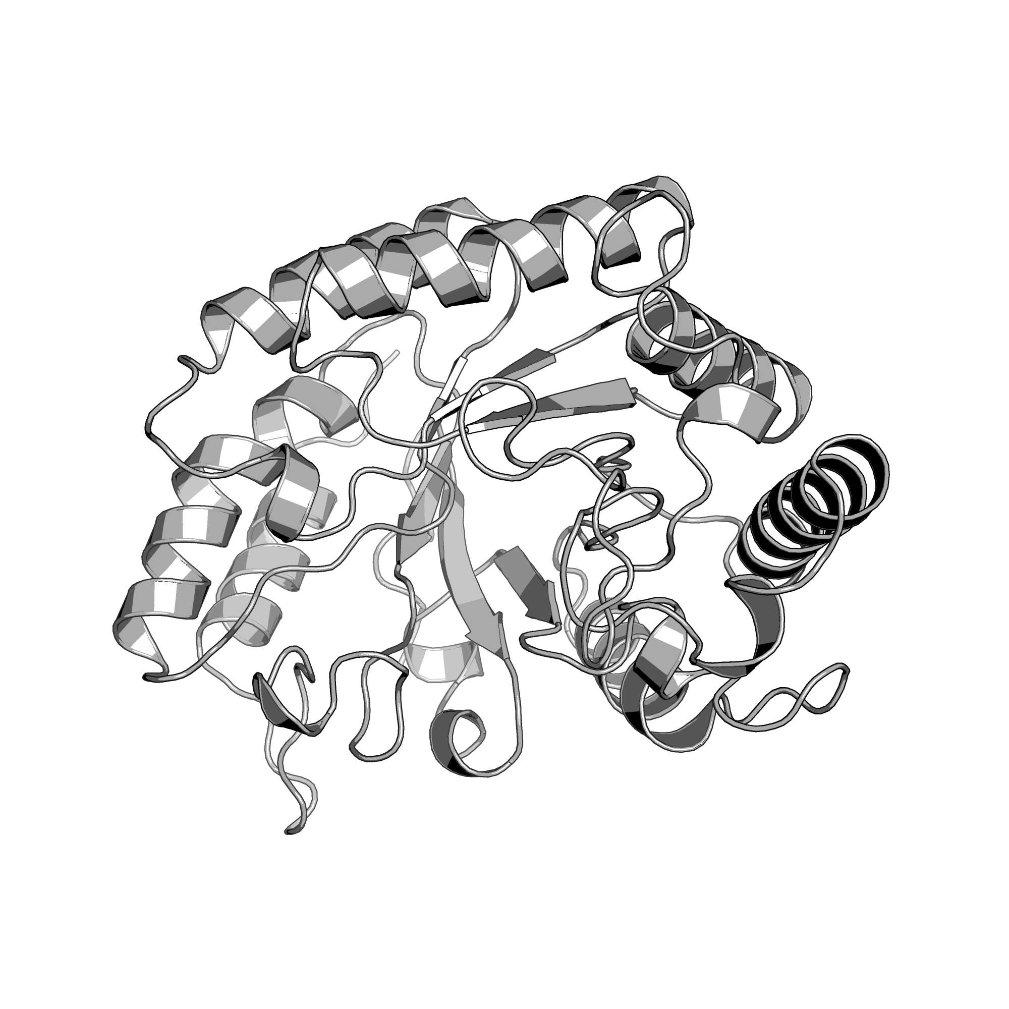 4PMX structure