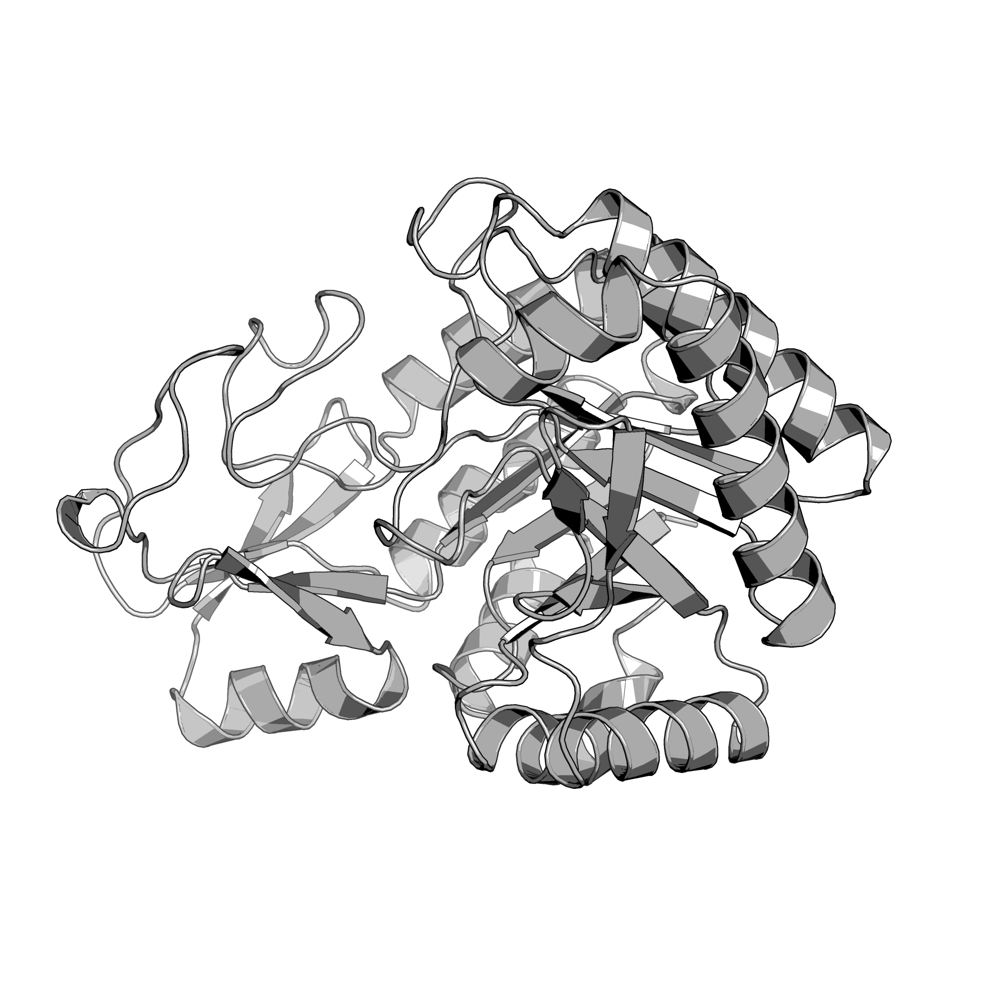 4Q6T structure