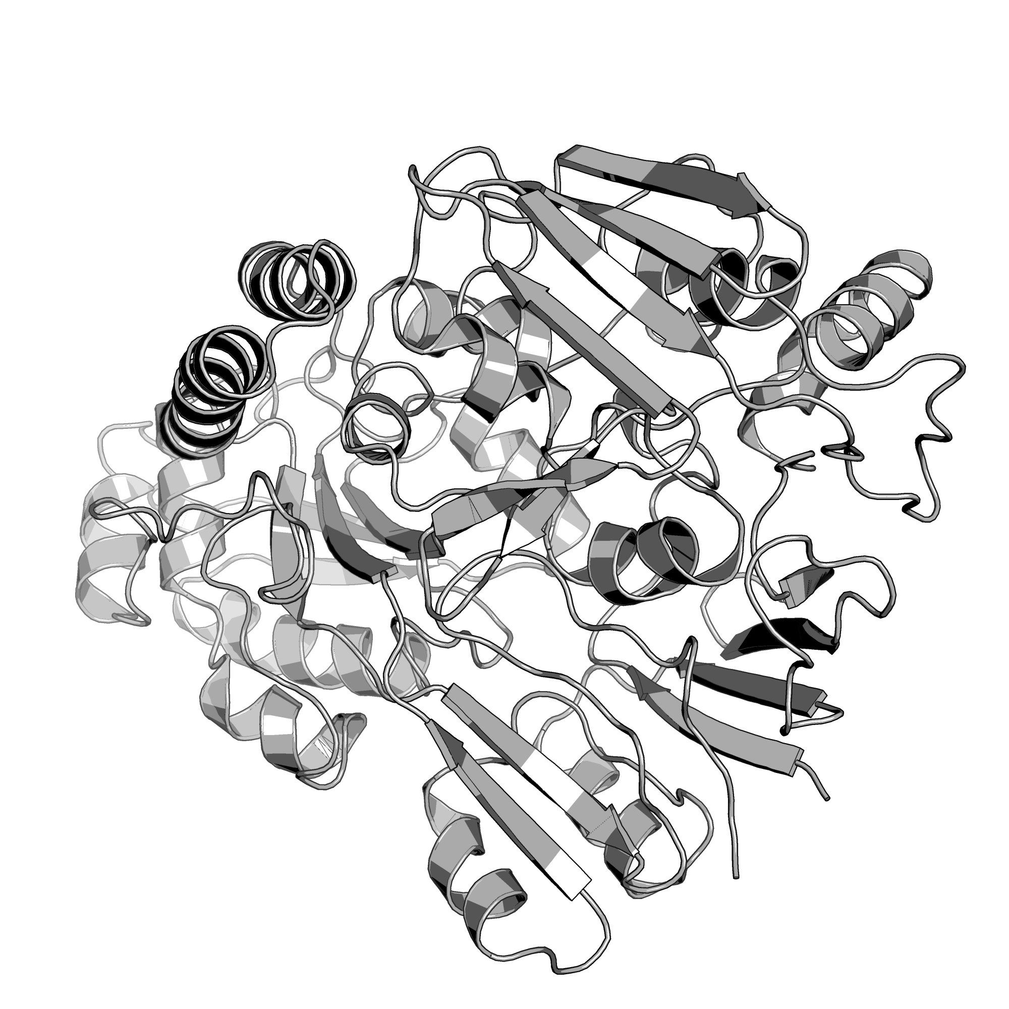 4QFL structure