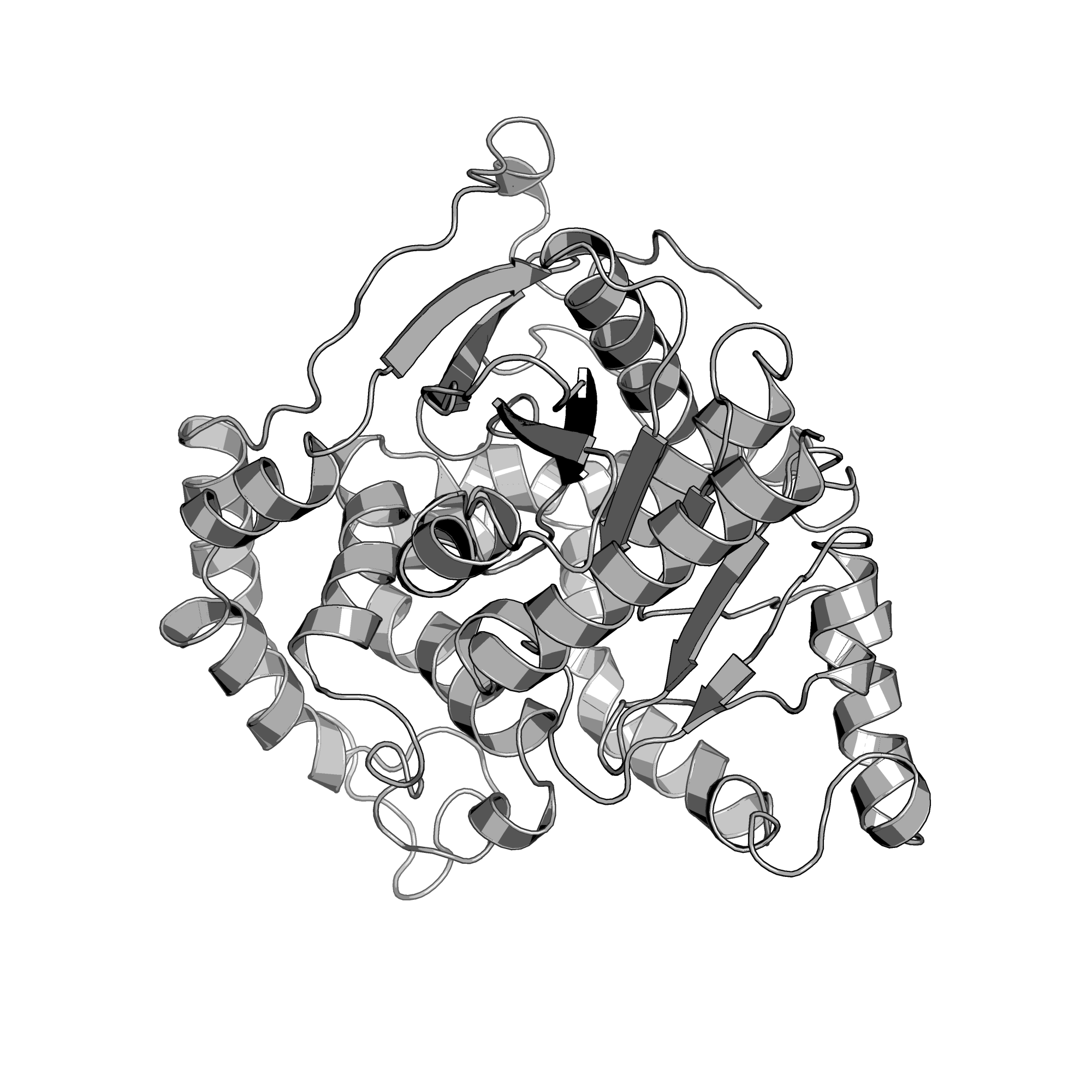 4QLA structure
