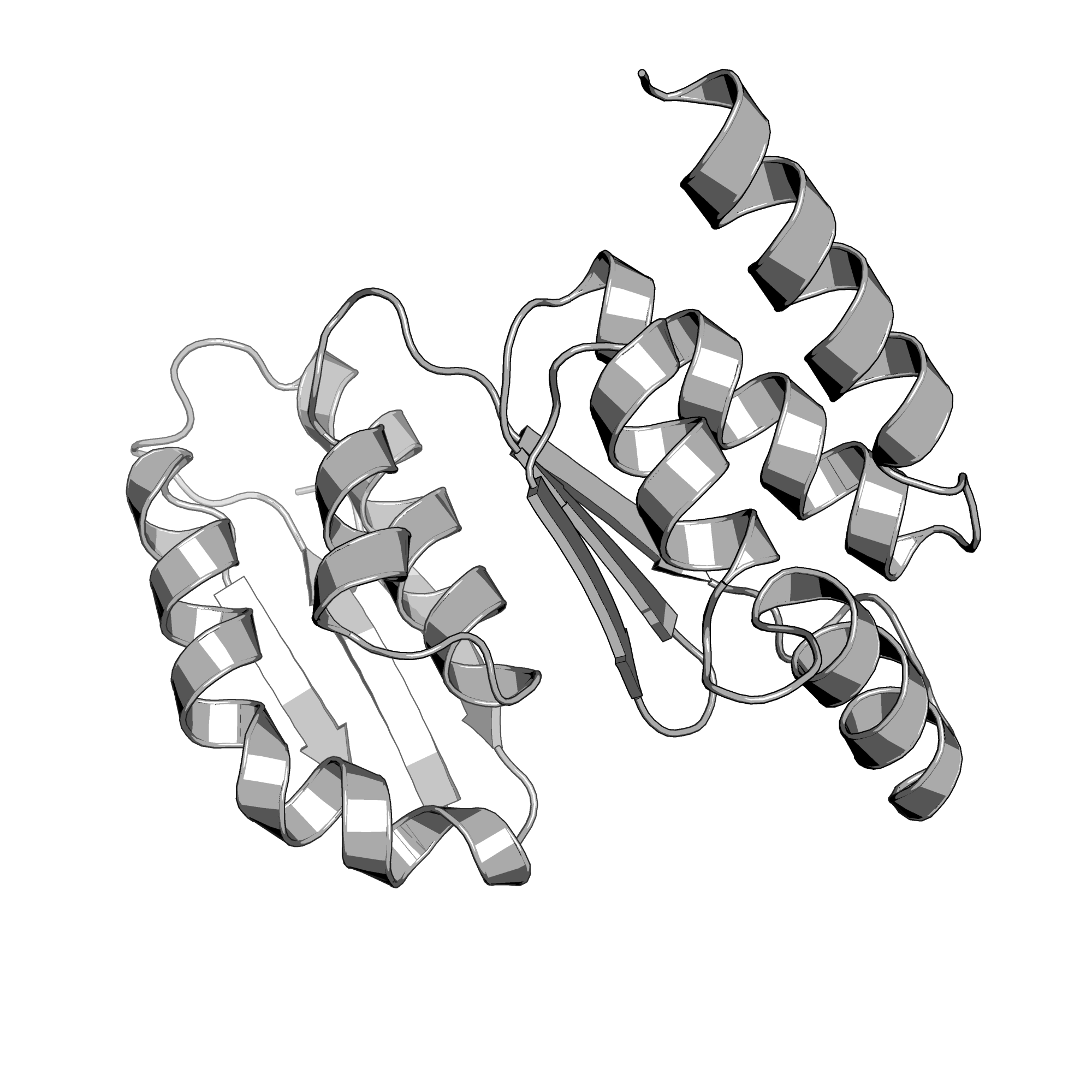 4QMF structure