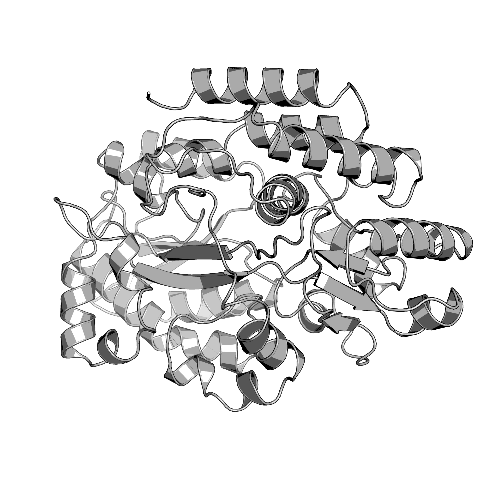4R2F structure