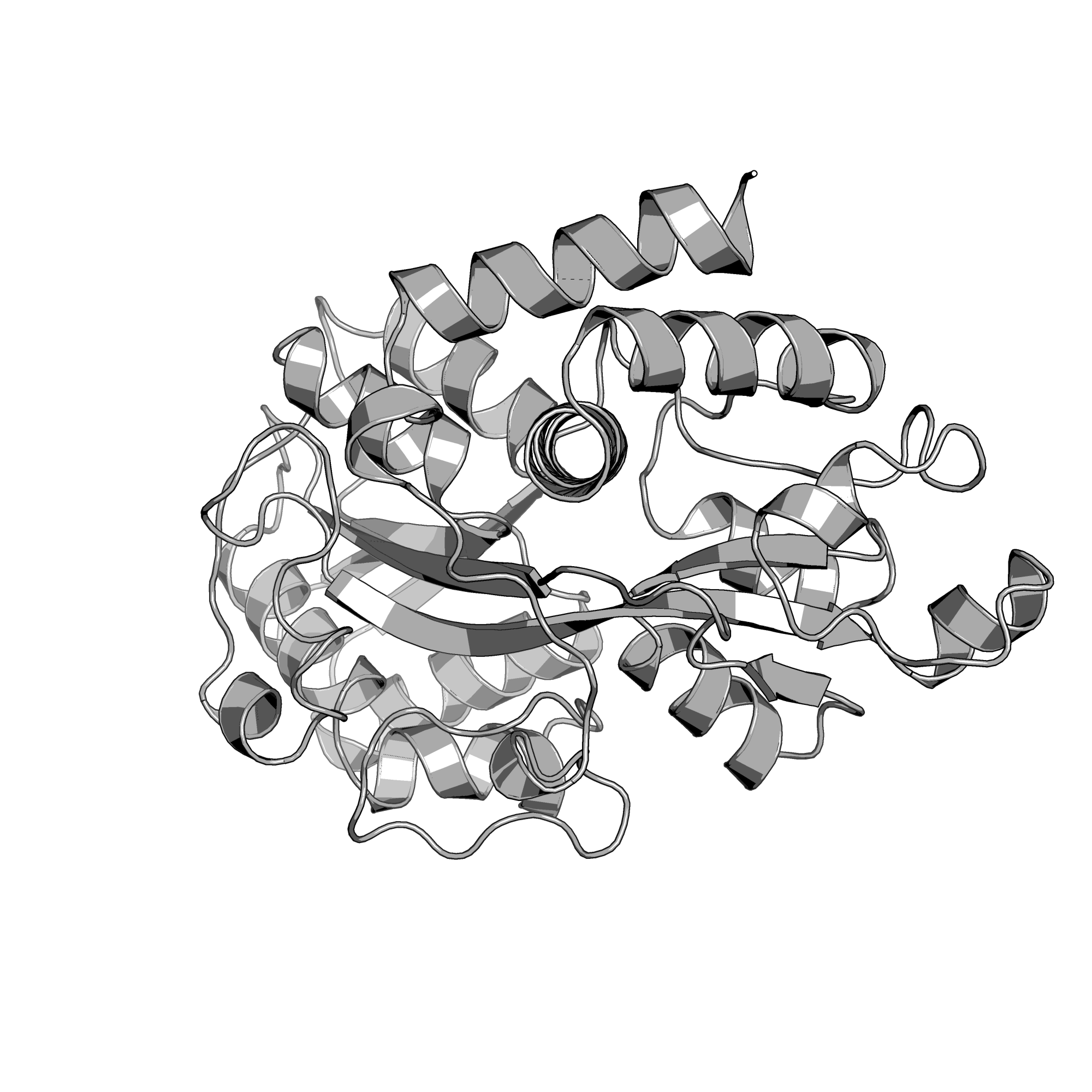 4R75 structure