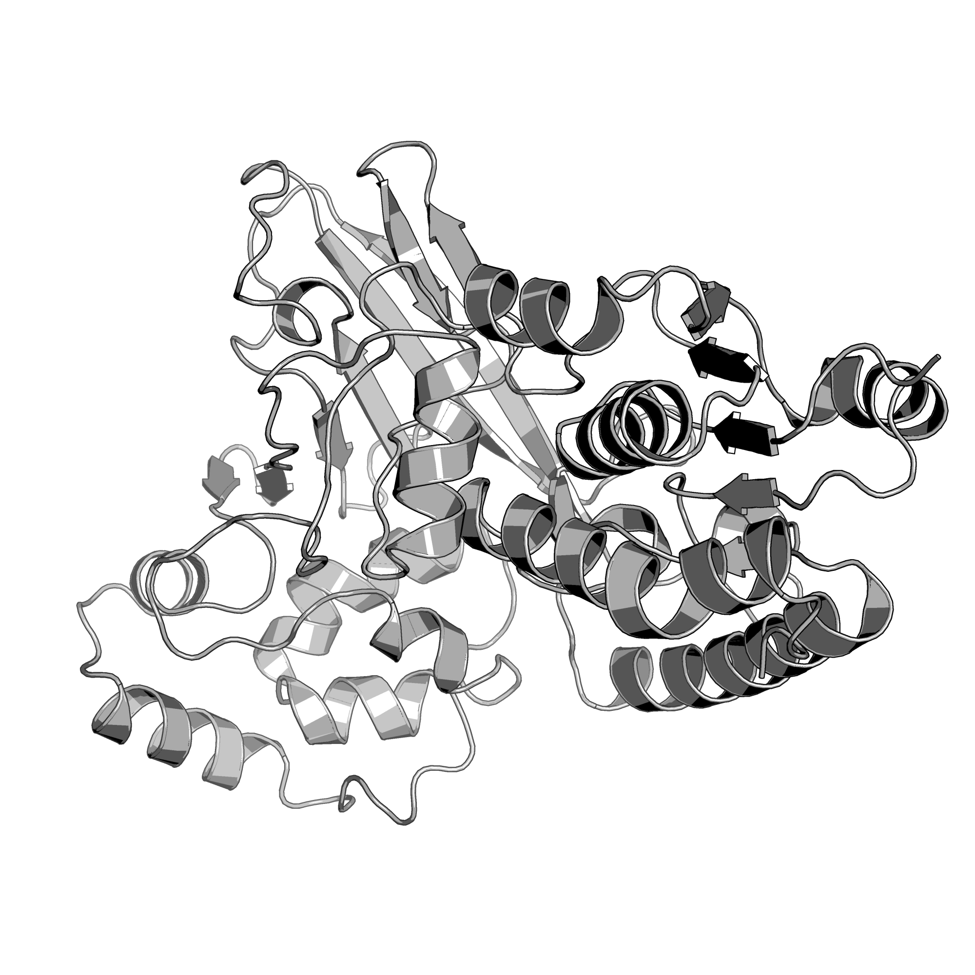 4RPL structure