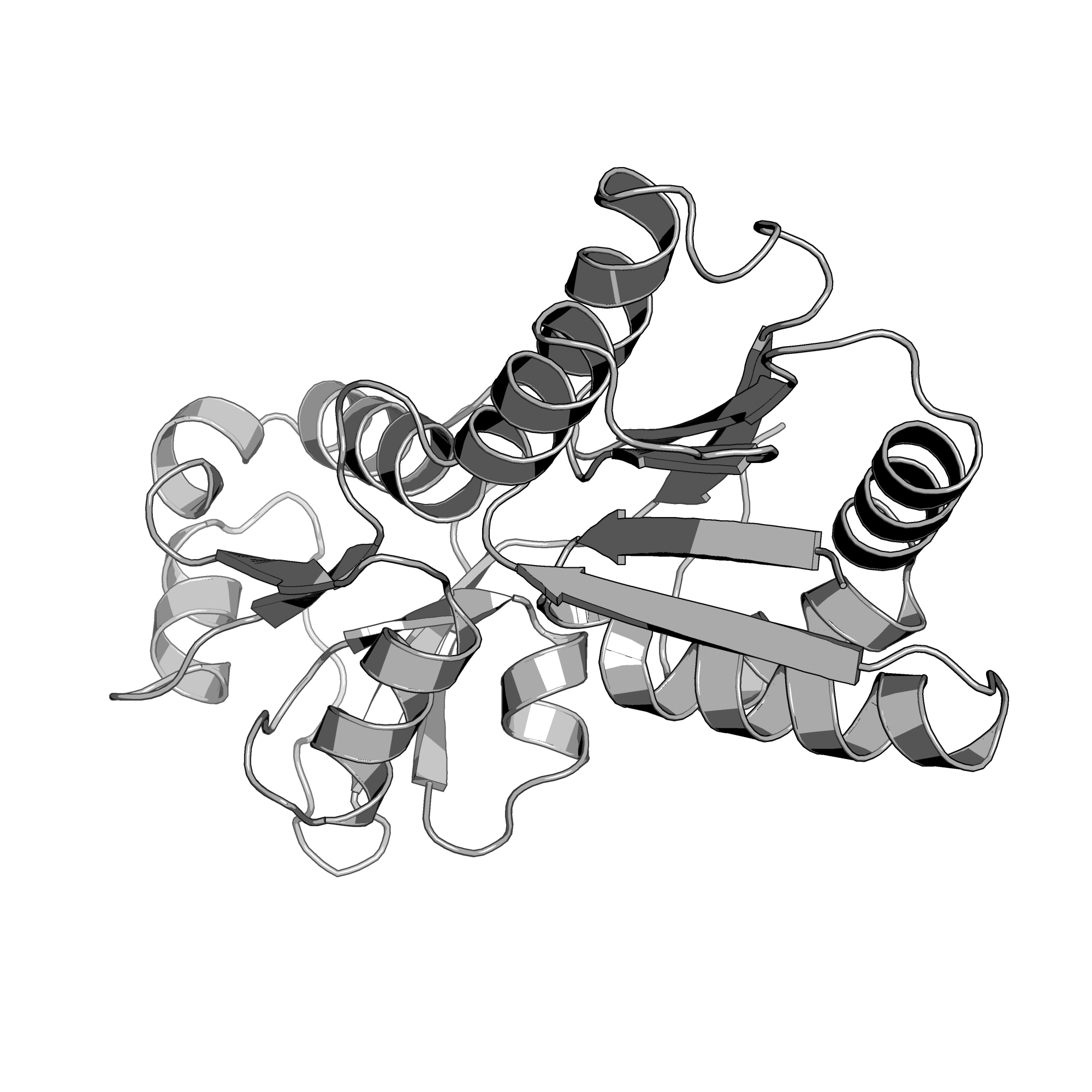 4RXL structure
