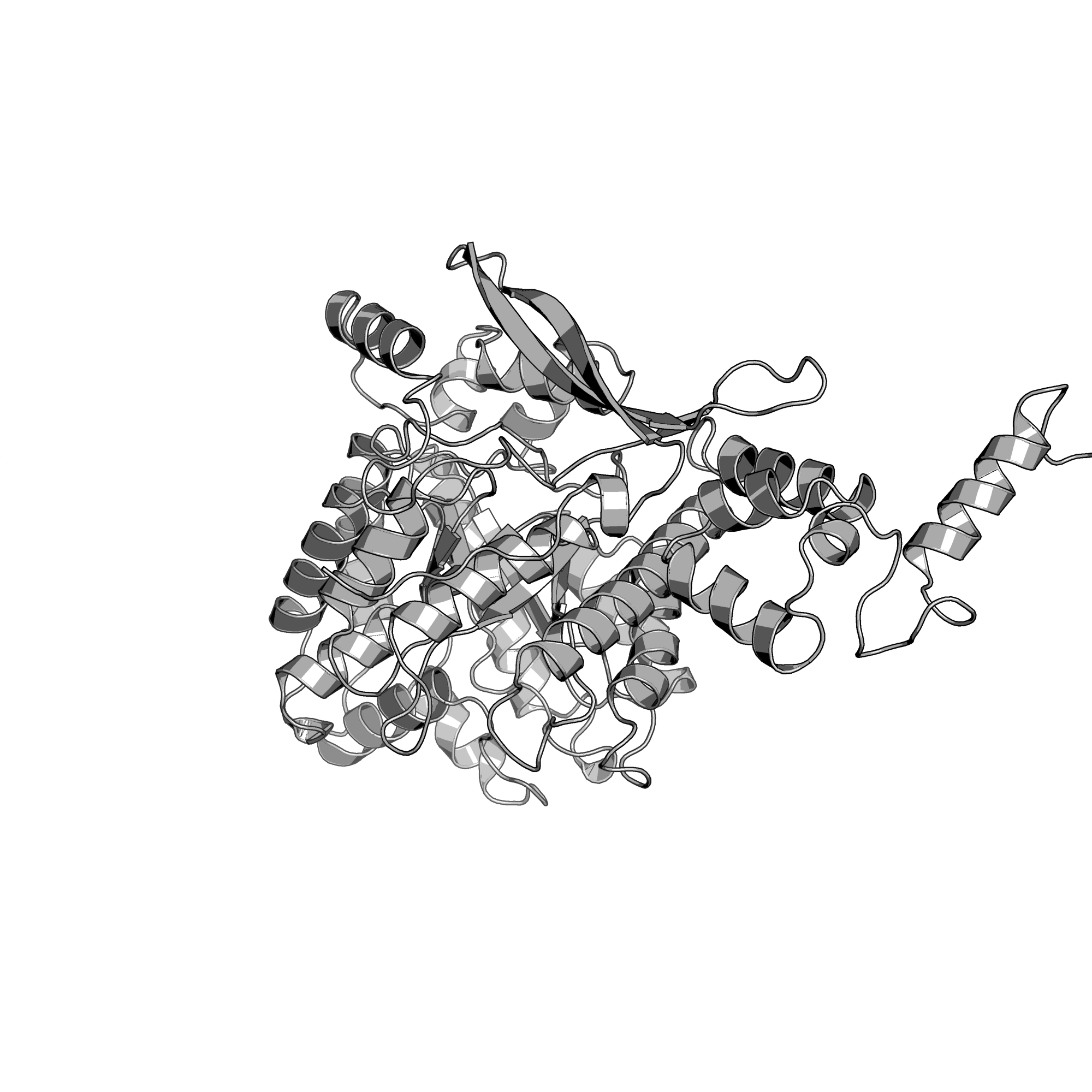 4S28 structure