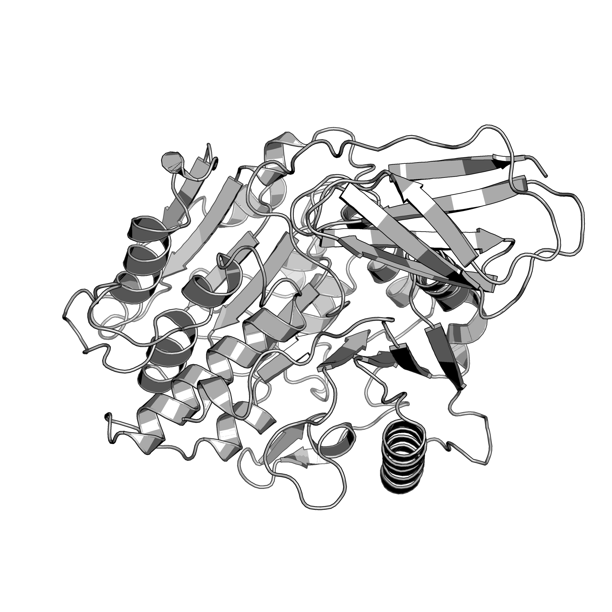 4TKX structure