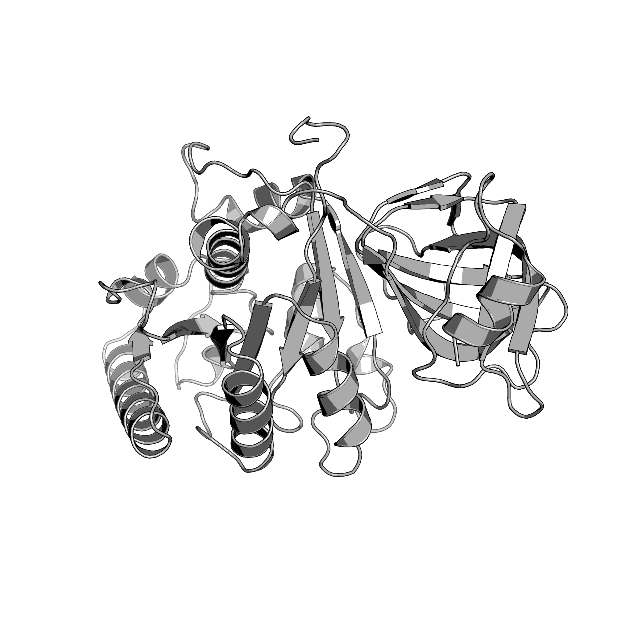 4TMX structure