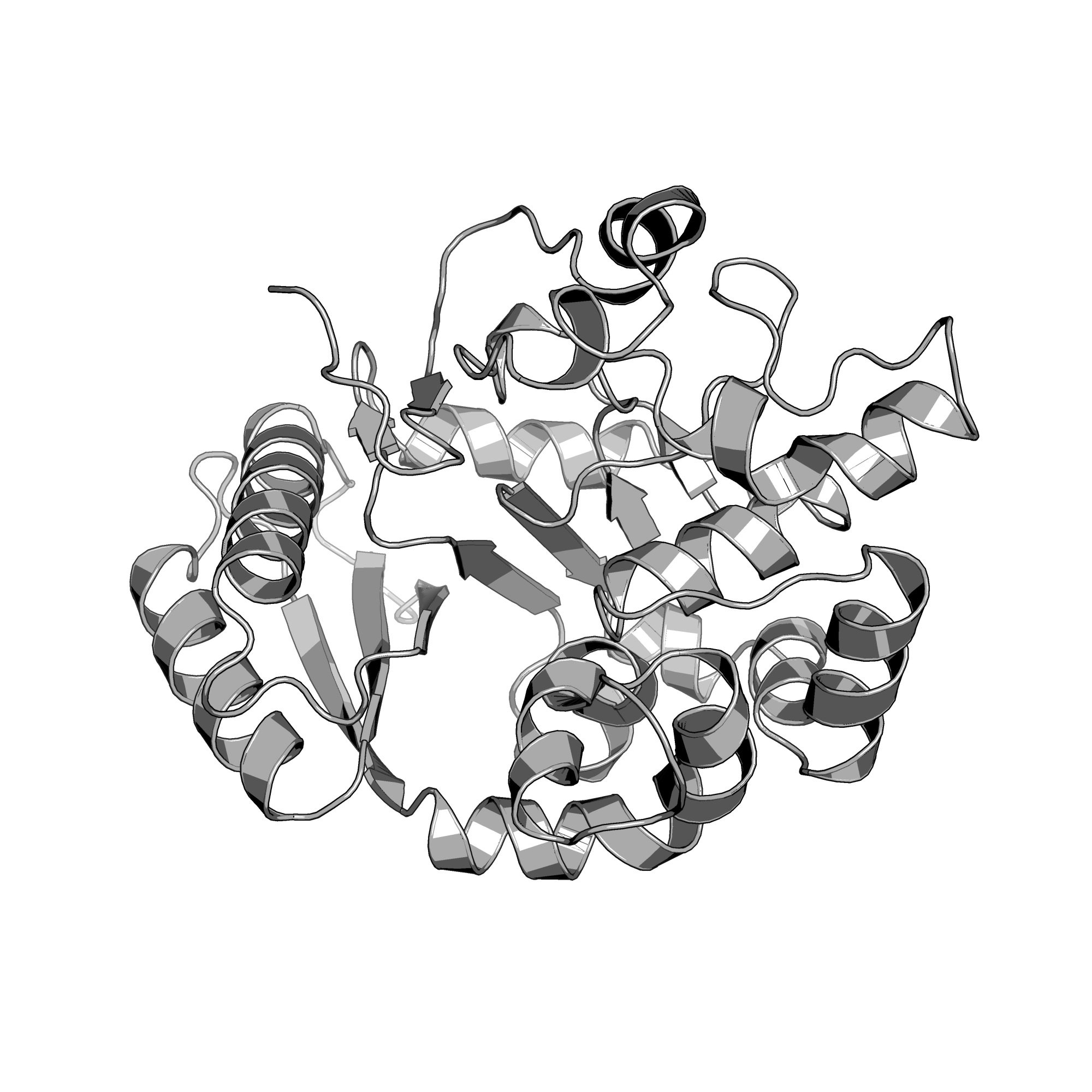 4WMA structure