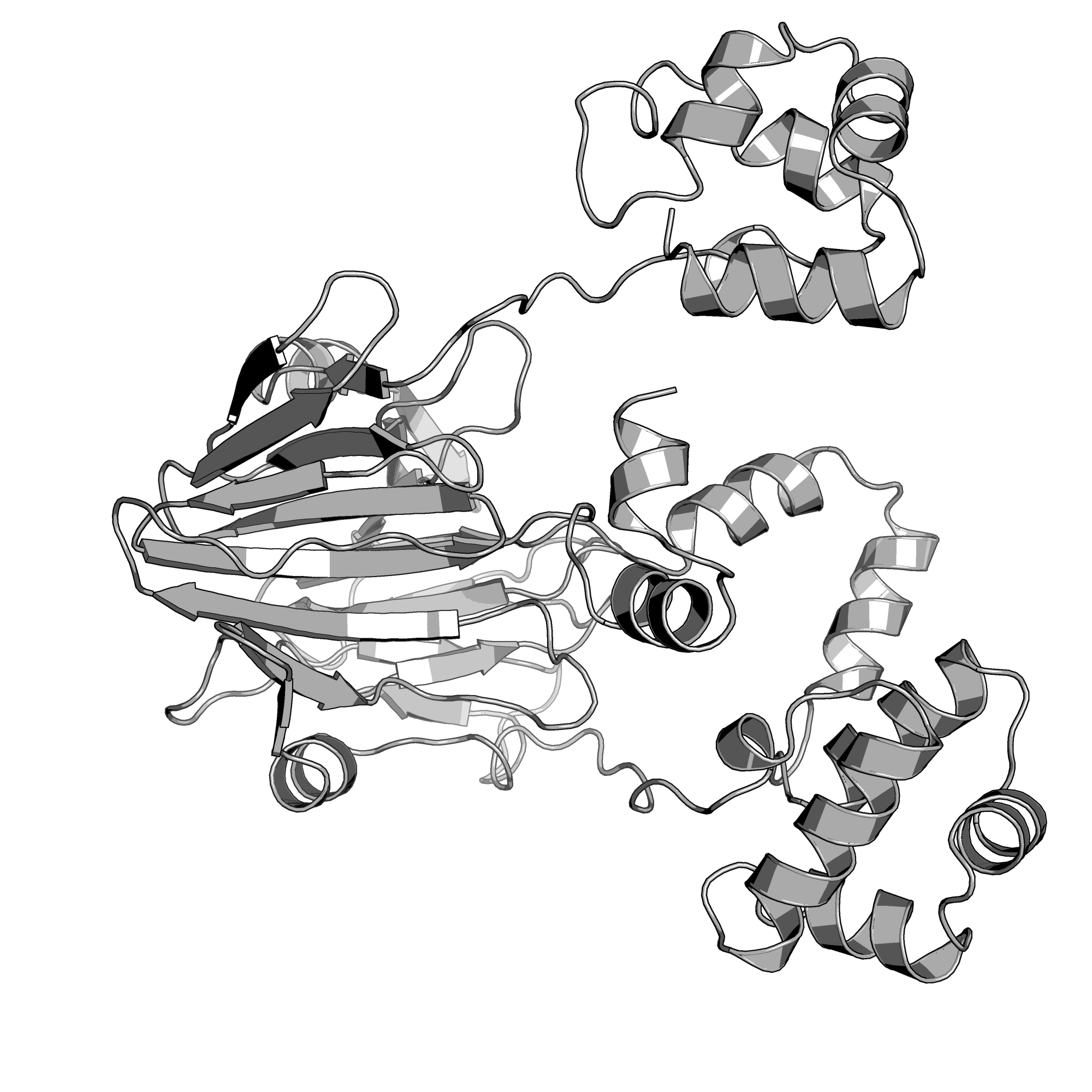 4YAR structure