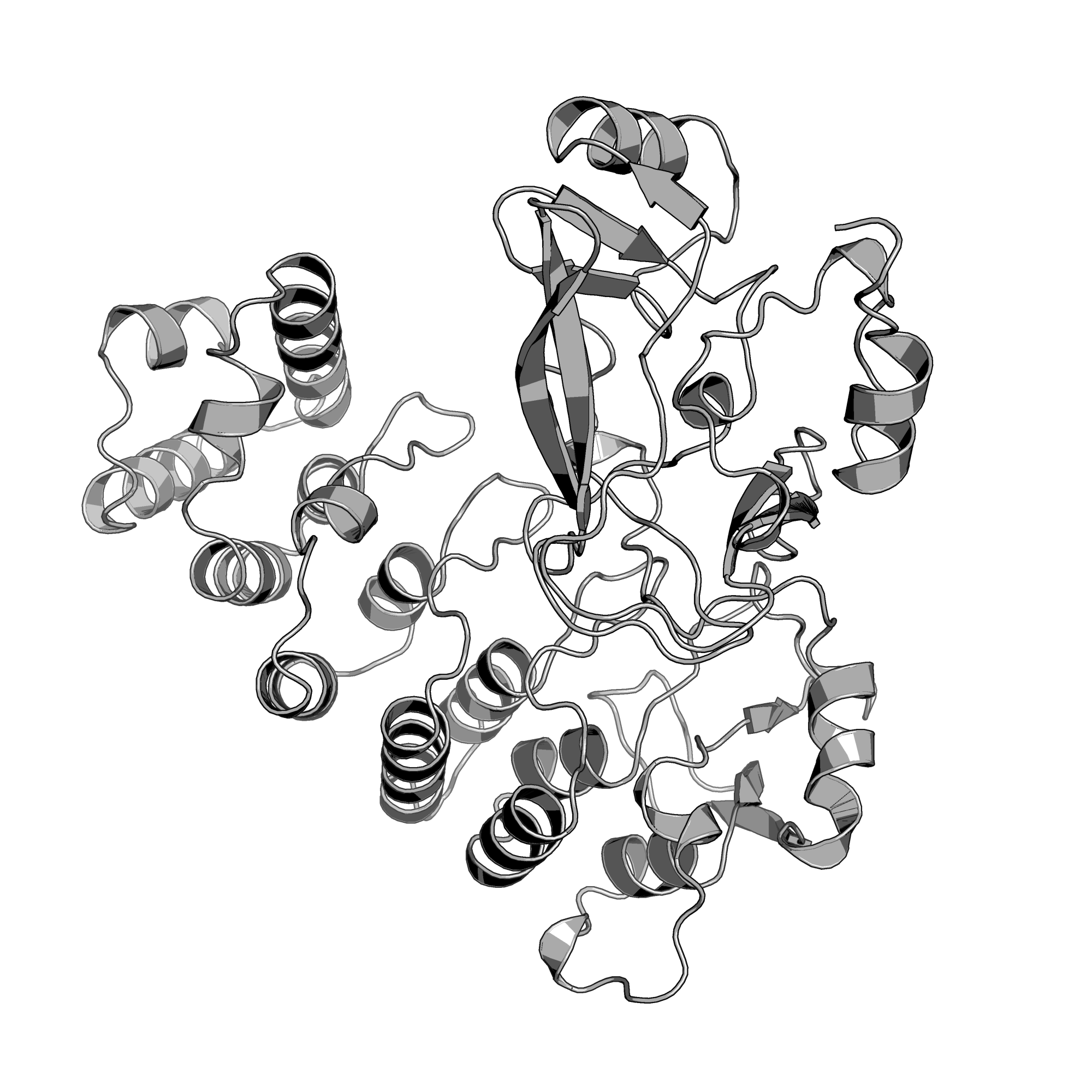 5CZY structure