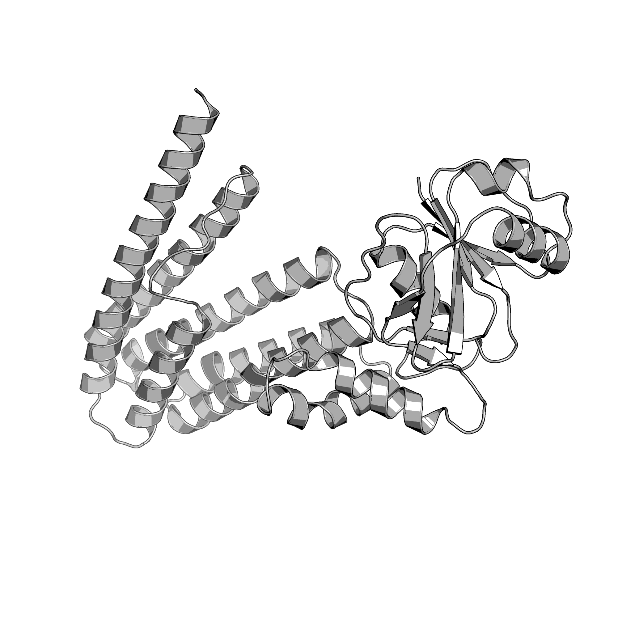 5D91 structure