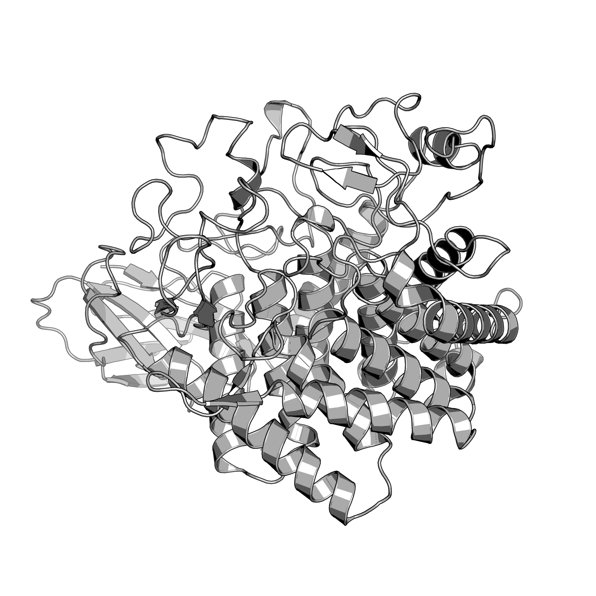 5DGQ structure