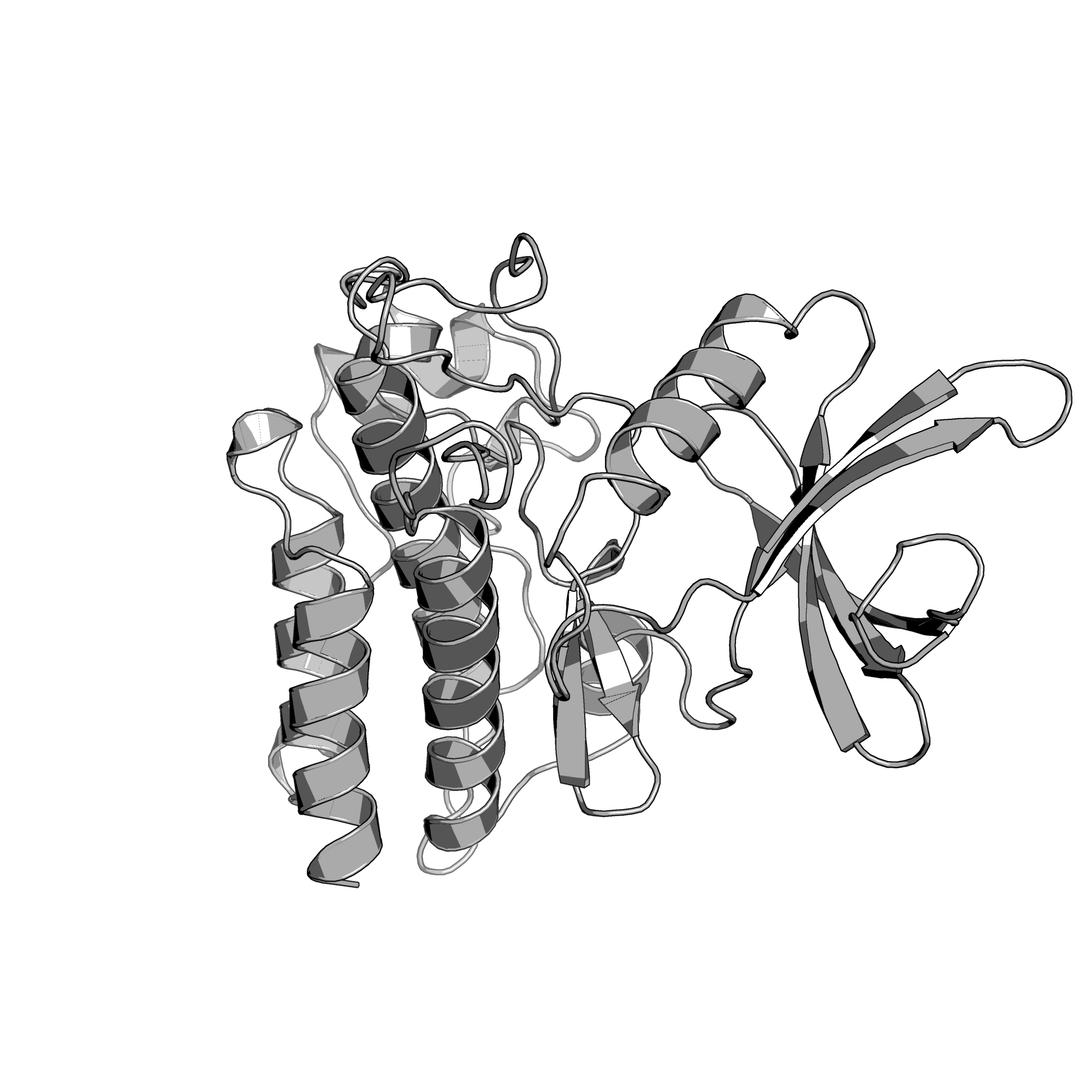 5E8Z structure