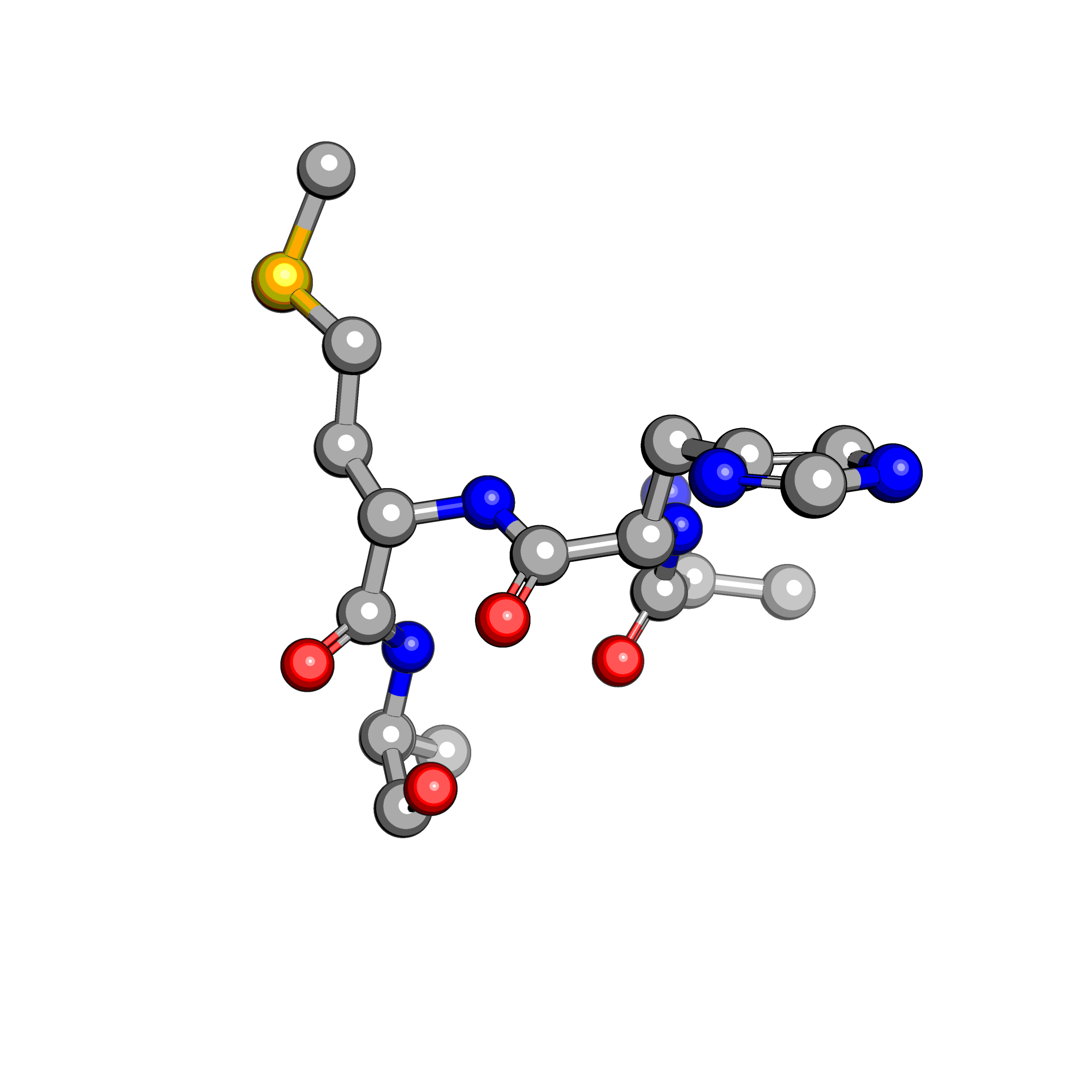 AHMA structure