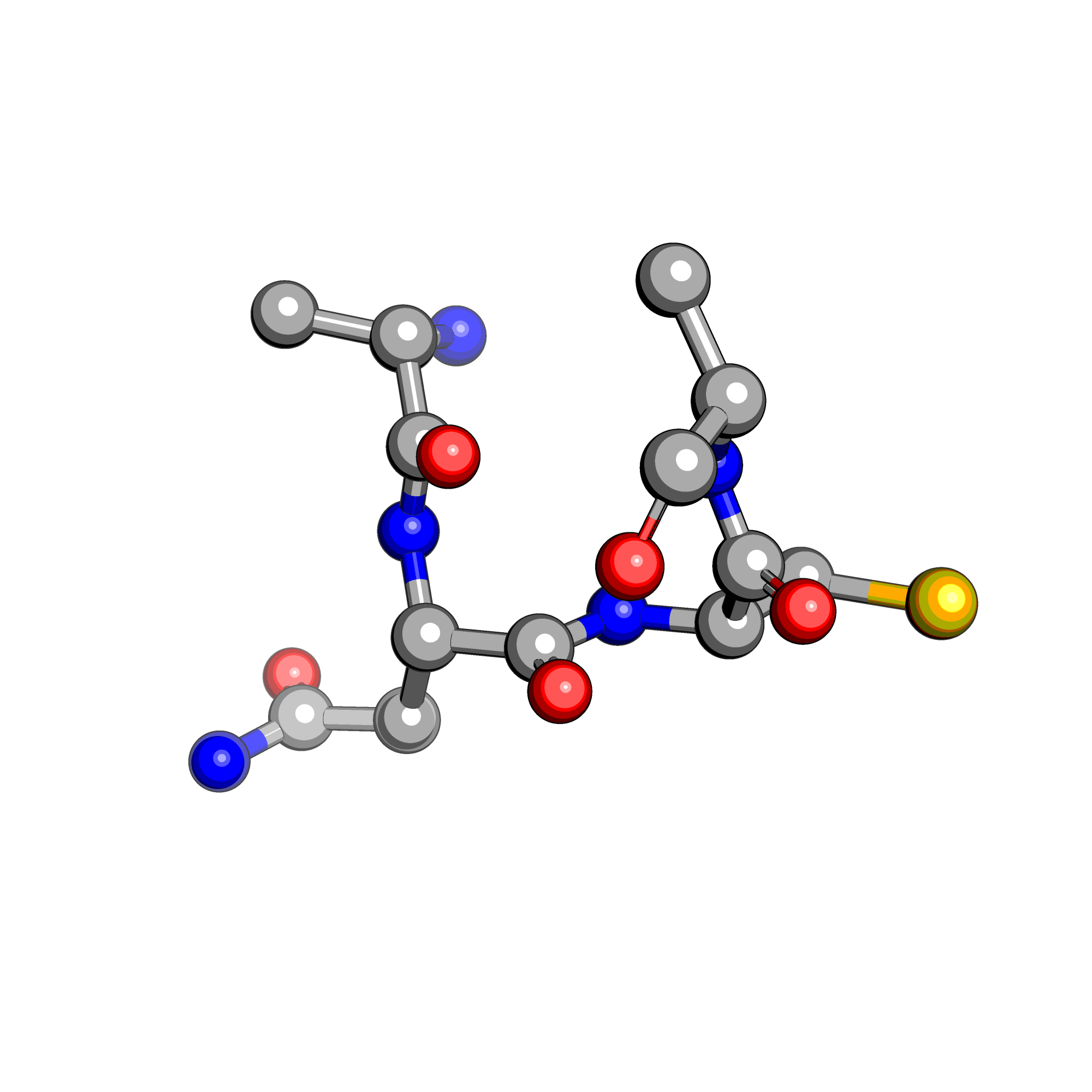 ANCA structure