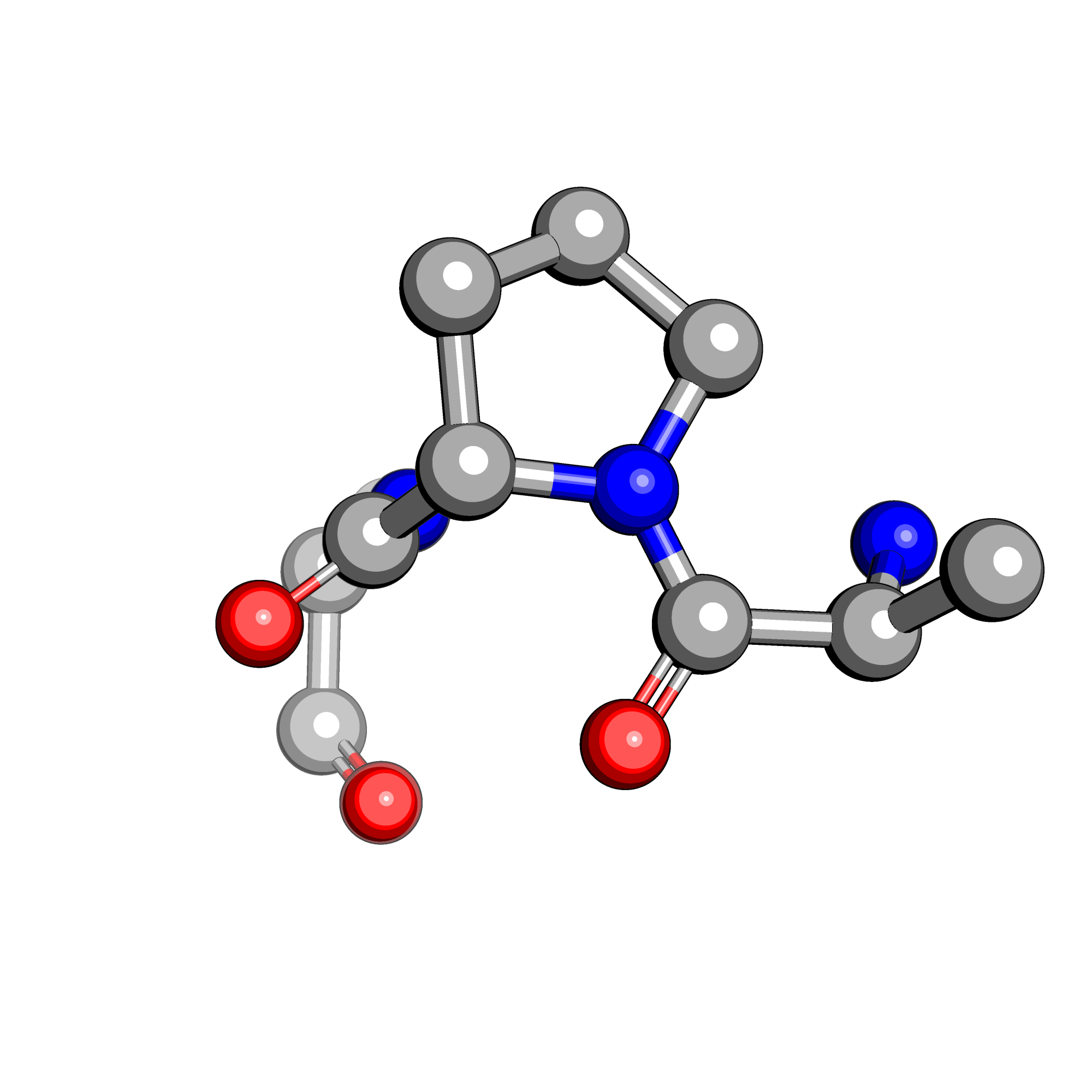 APA structure